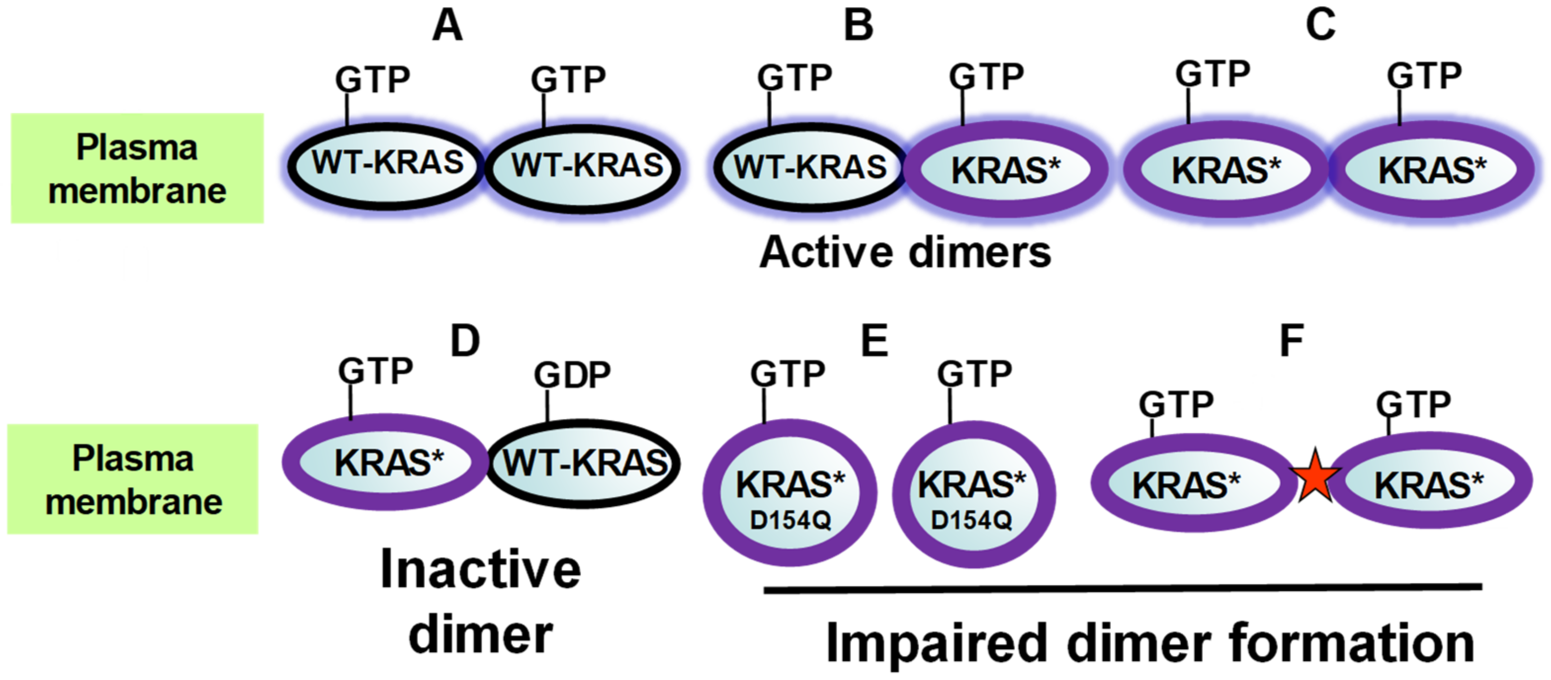 Cancers 13 05126 g001