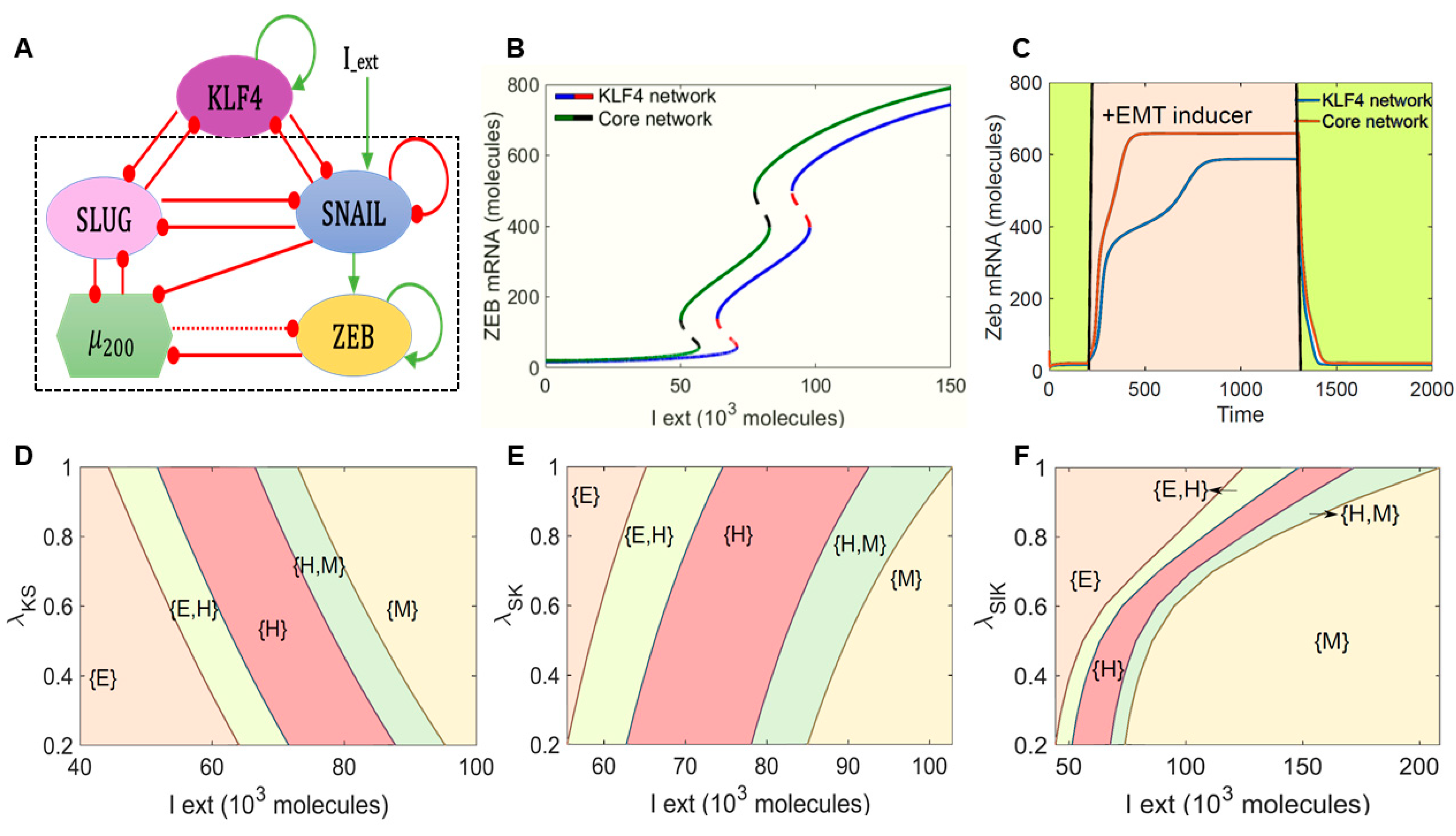 Cancers 13 05135 g001