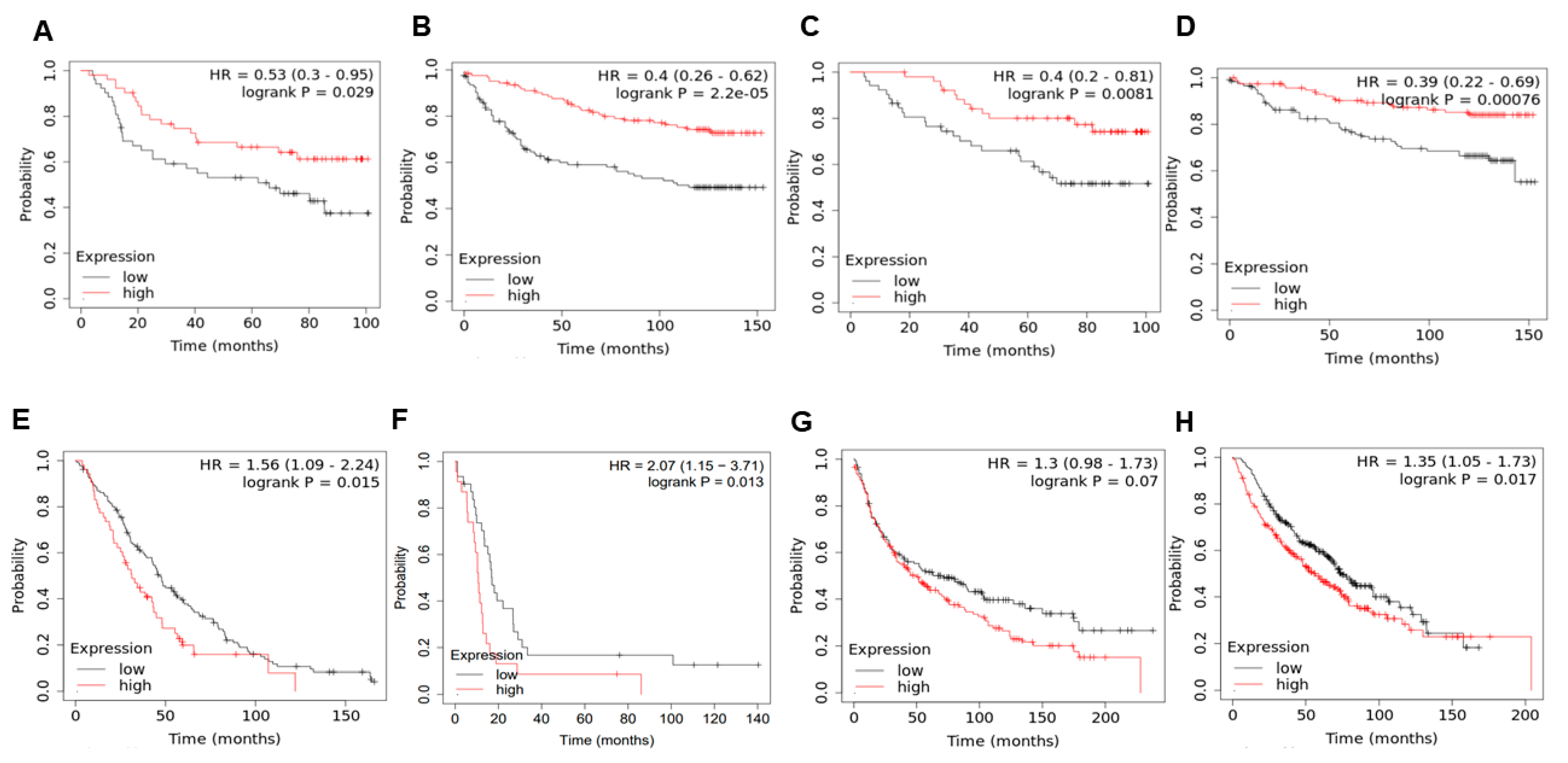 Cancers 13 05135 g005