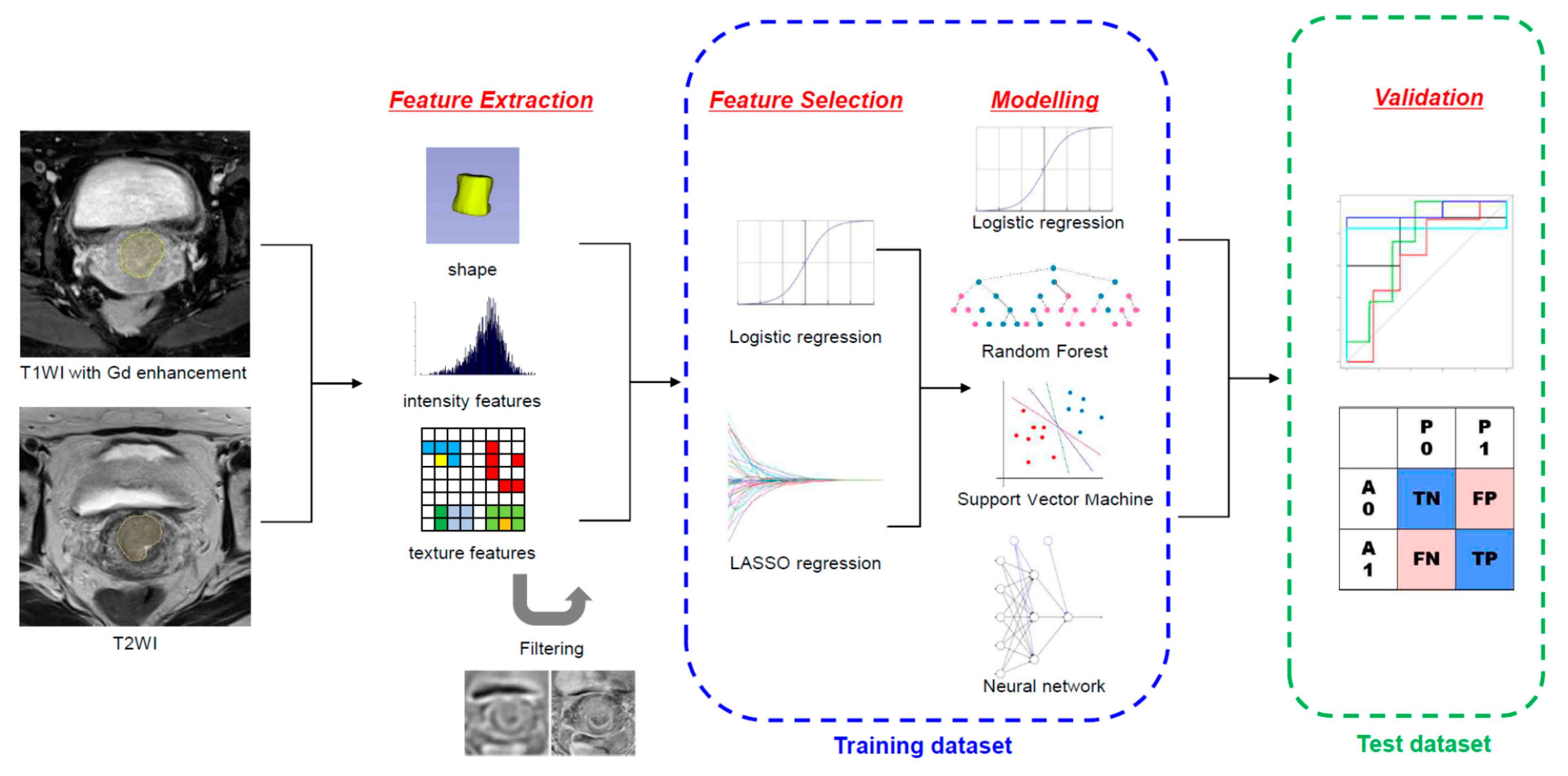 Cancers 13 05140 g001
