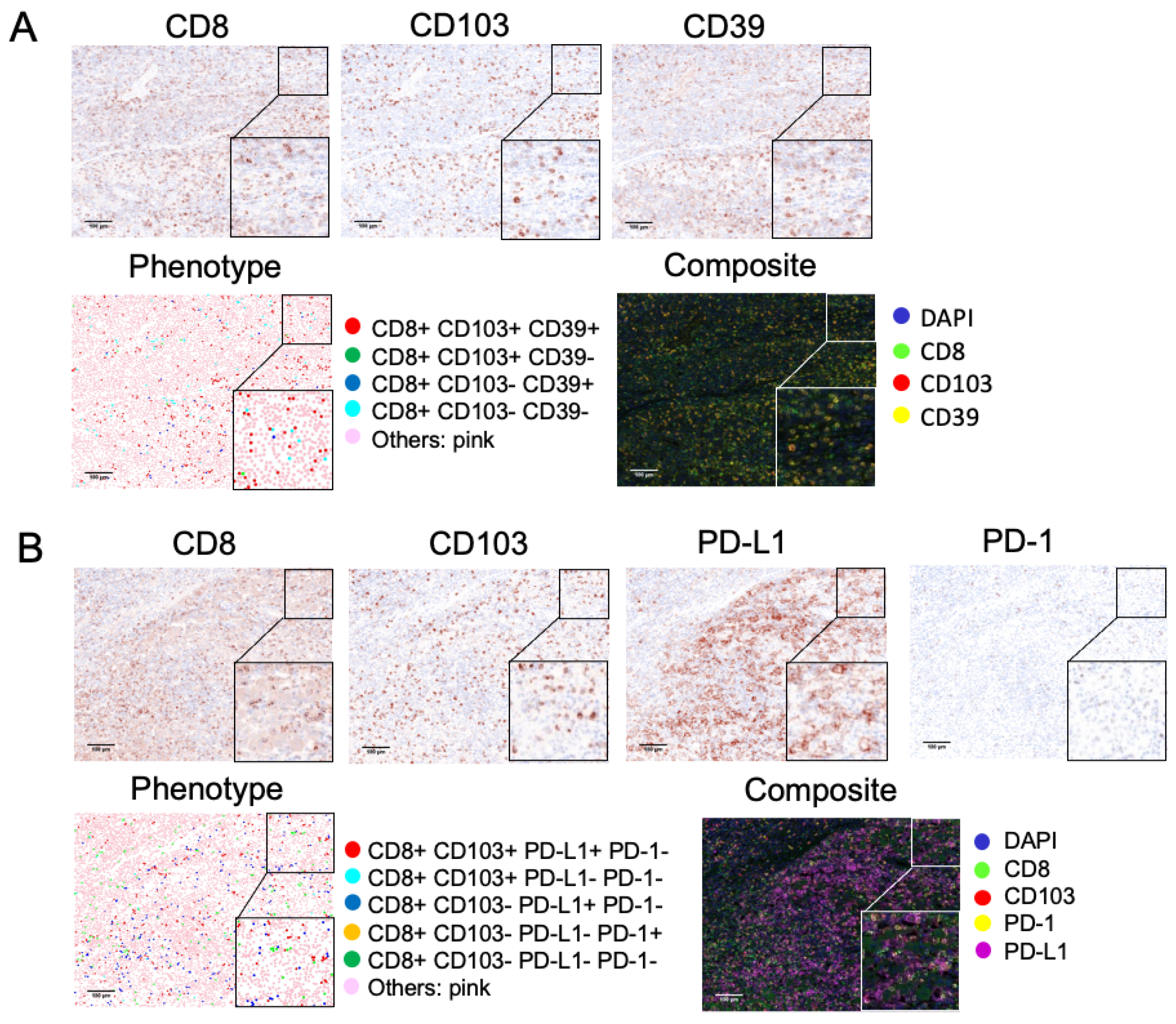 Cancers 13 05142 g002