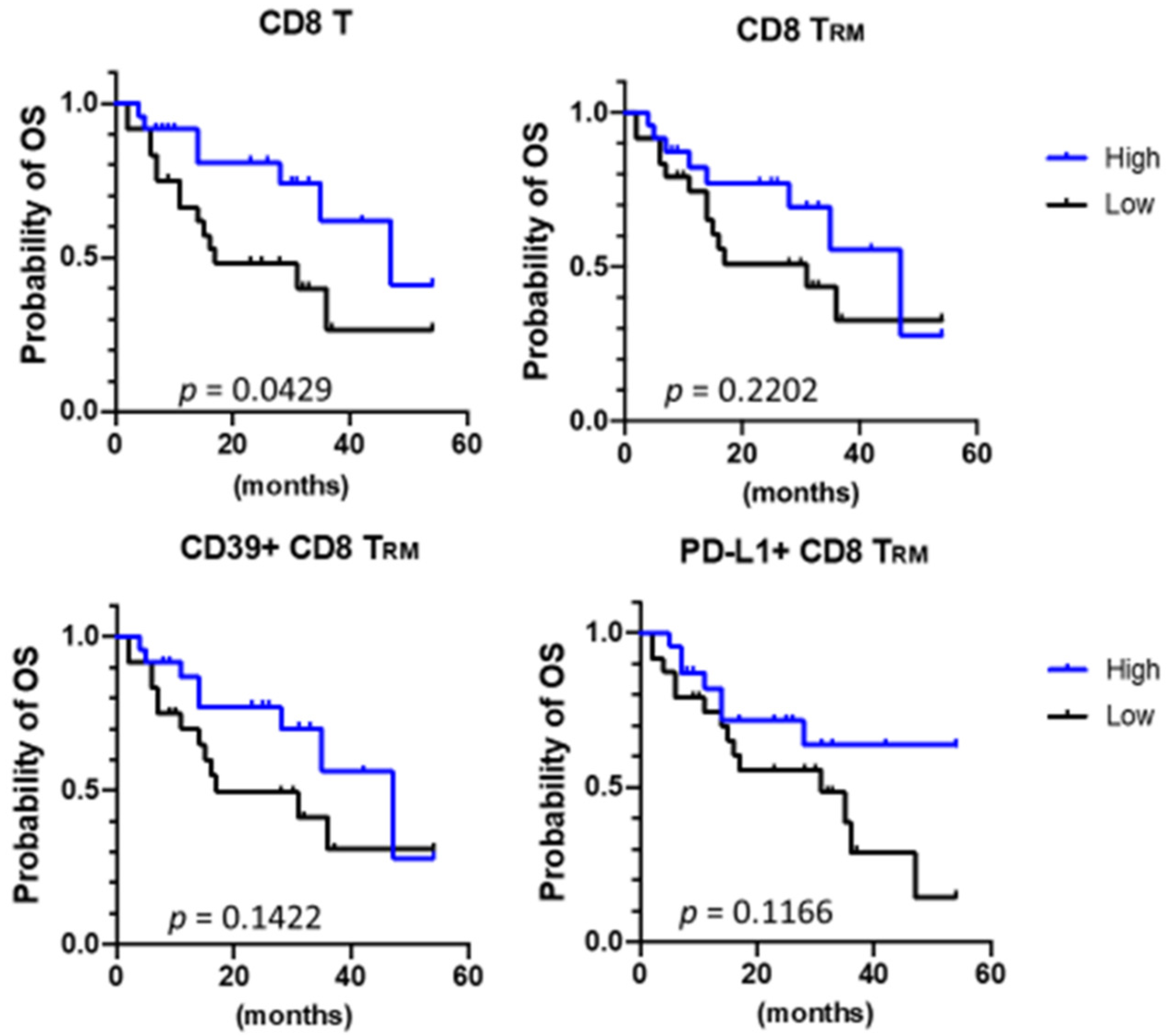 Cancers 13 05142 g004