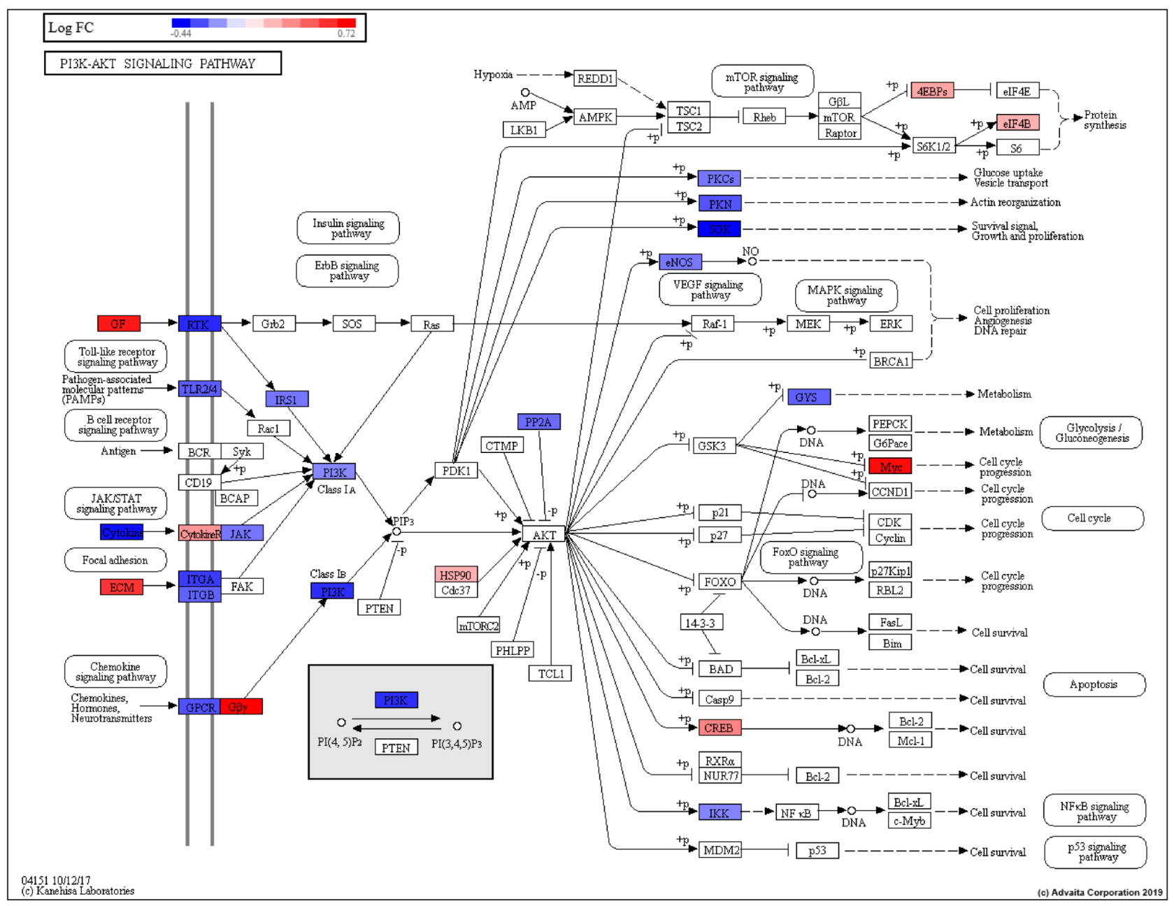 Cancers 13 05143 g003 Cancers 13 05143 g003