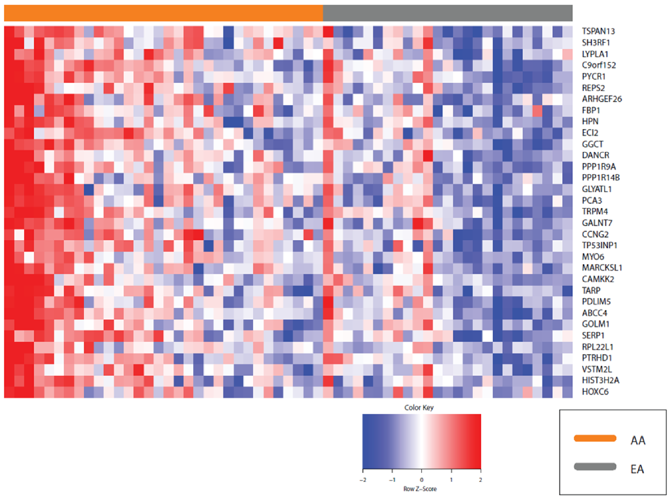 Cancers 13 05143 g006 Cancers 13 05143 g006