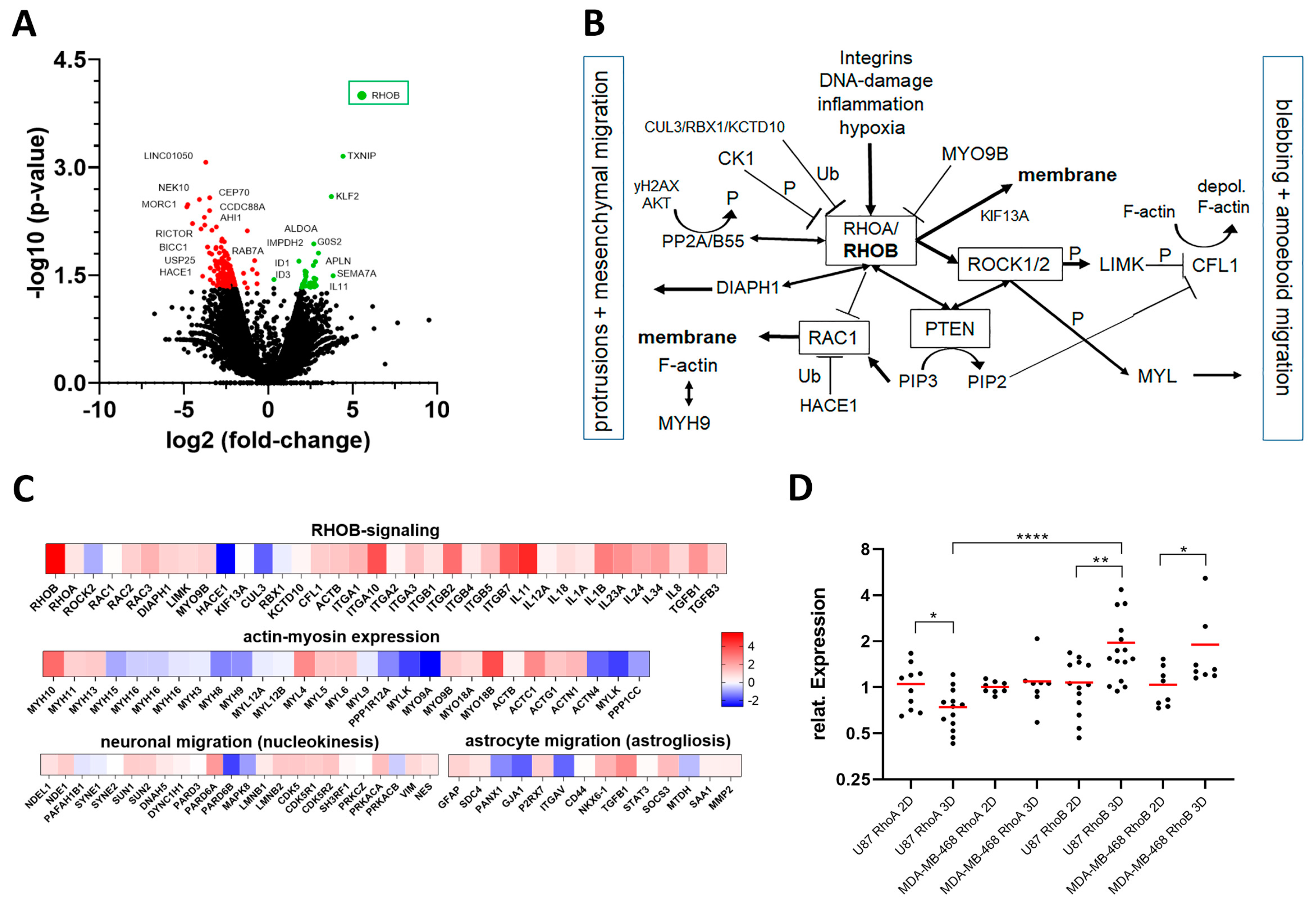 Cancers 13 05144 g005
