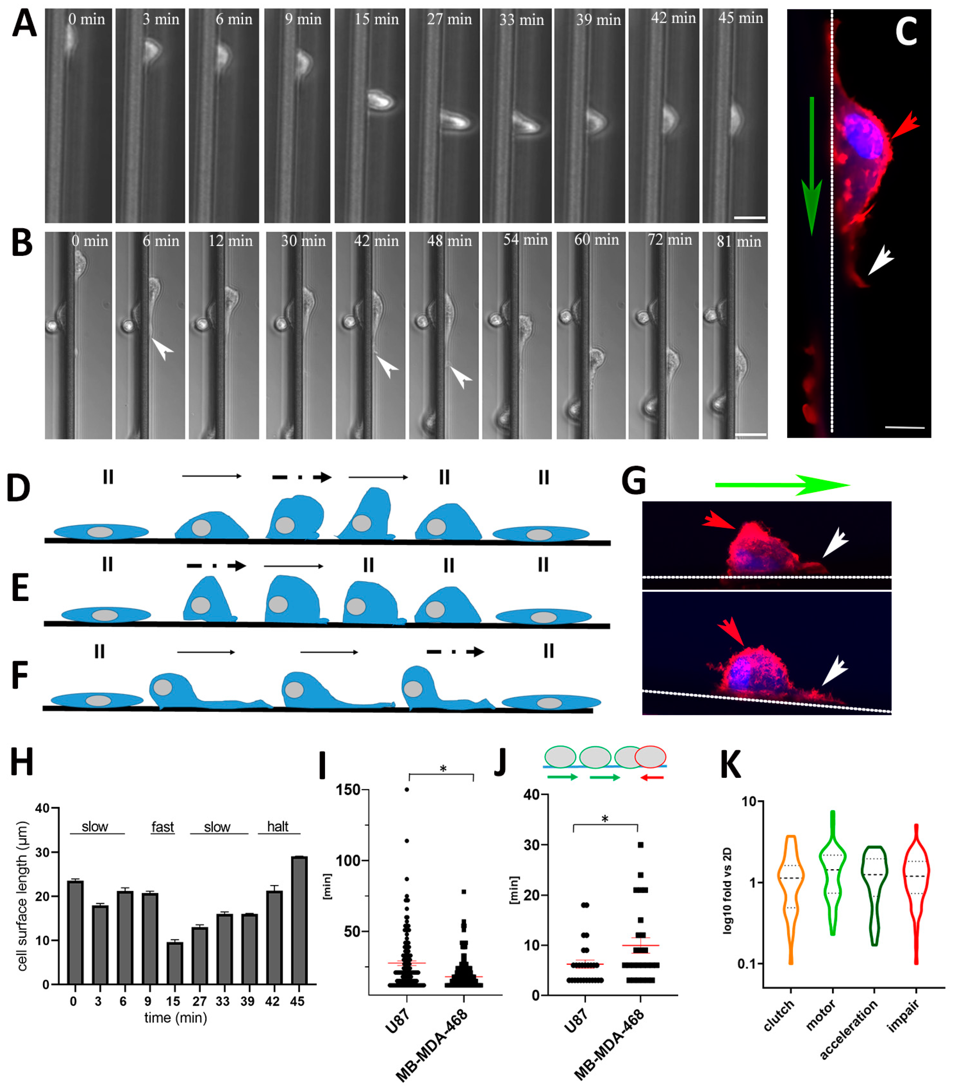 Cancers 13 05144 g008