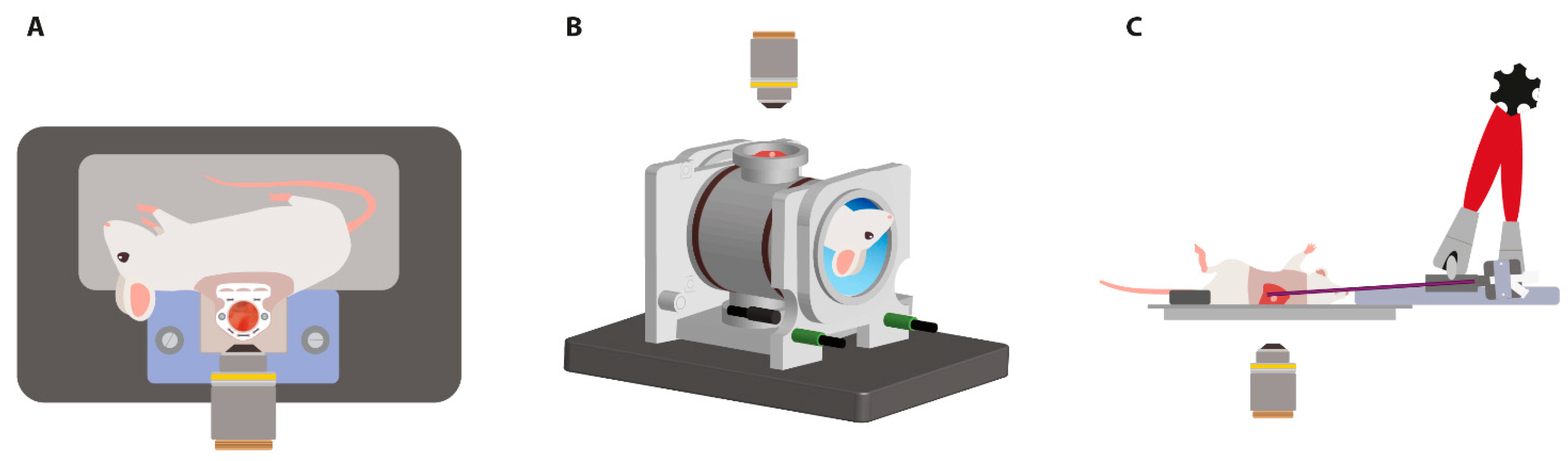 Cancers 13 05146 g001