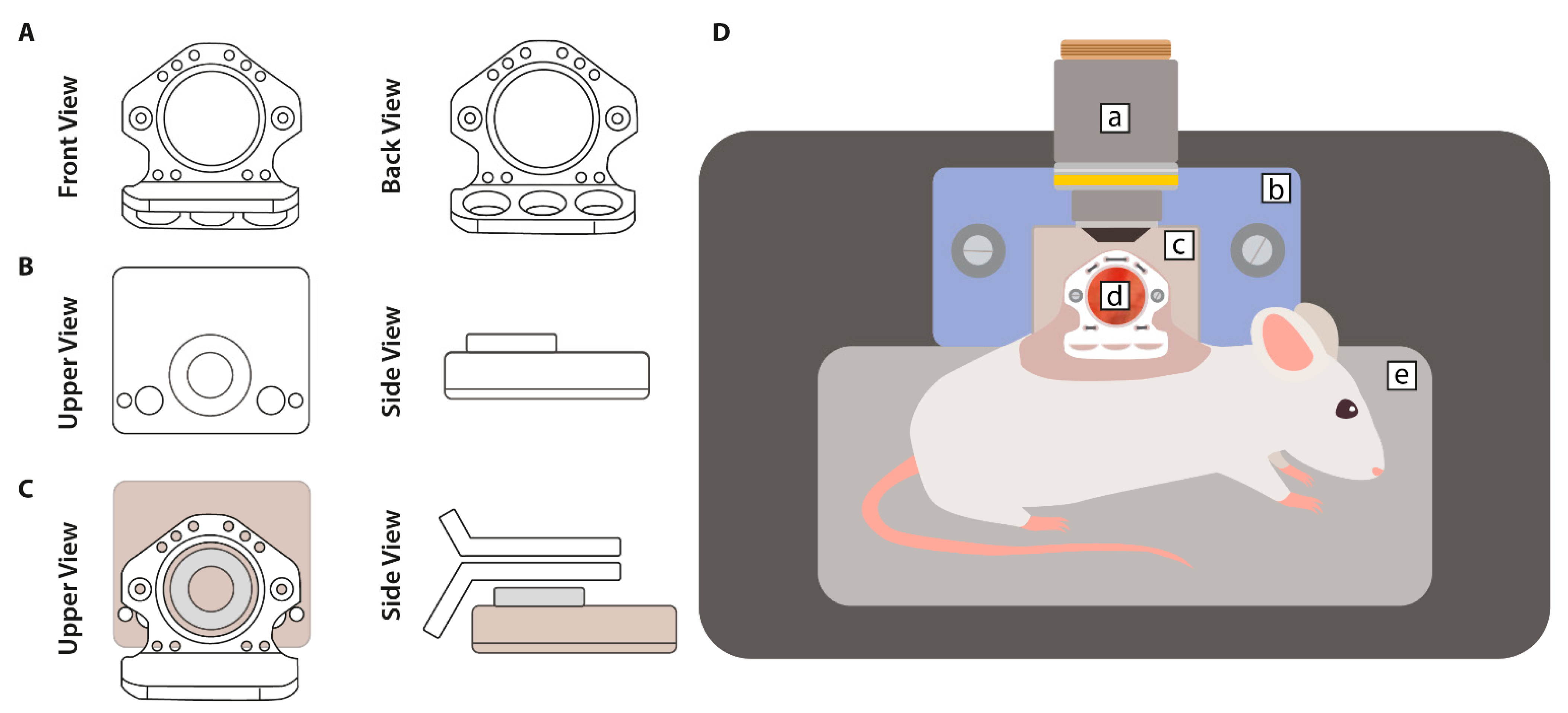 Cancers 13 05146 g002