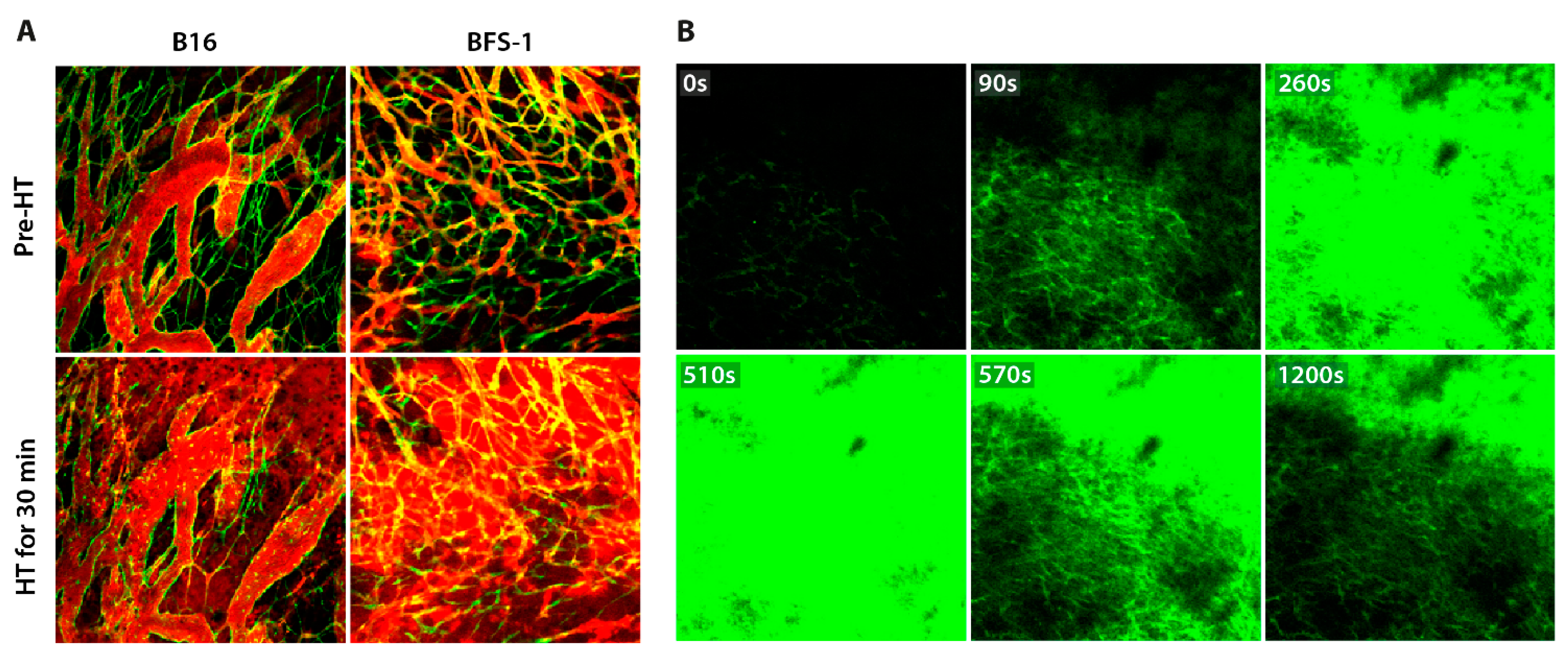 Cancers 13 05146 g008