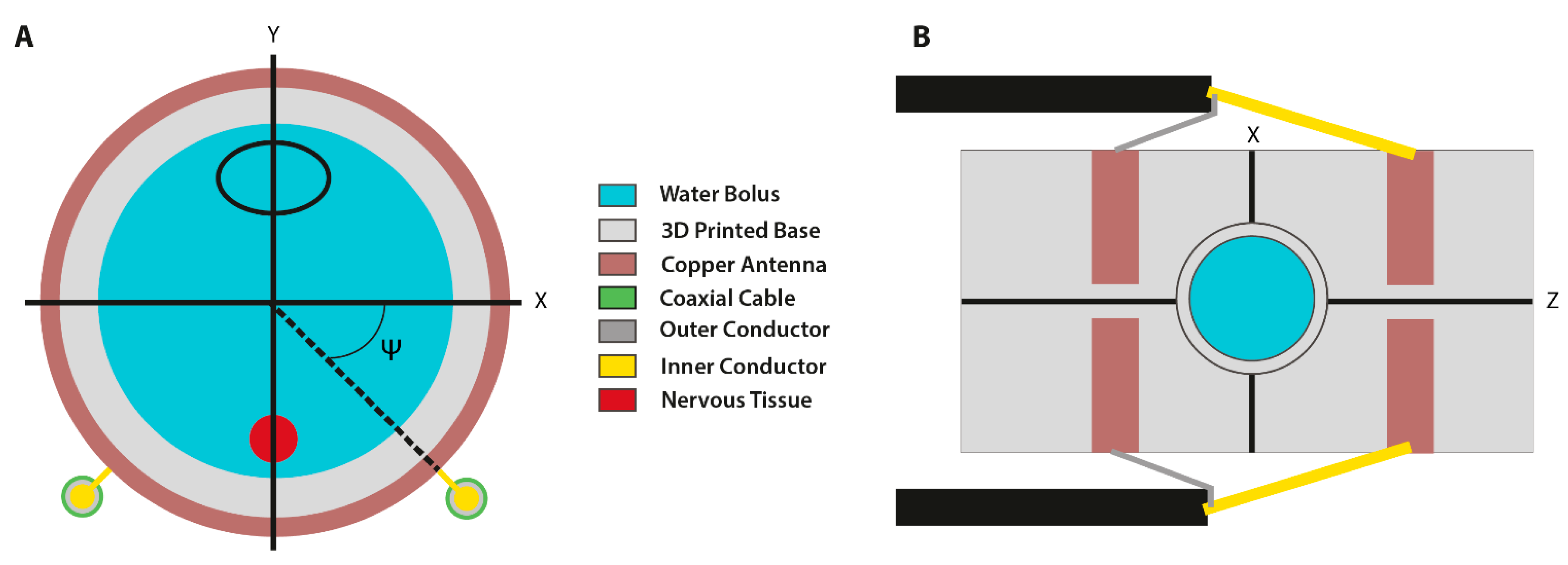 Cancers 13 05146 g009