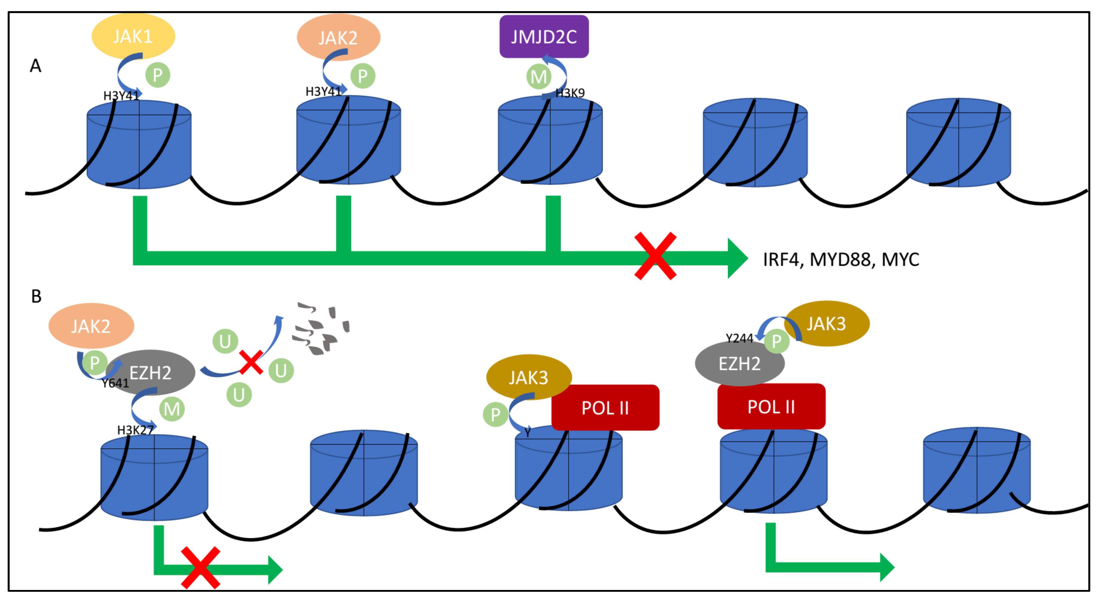 Cancers 13 05147 g002