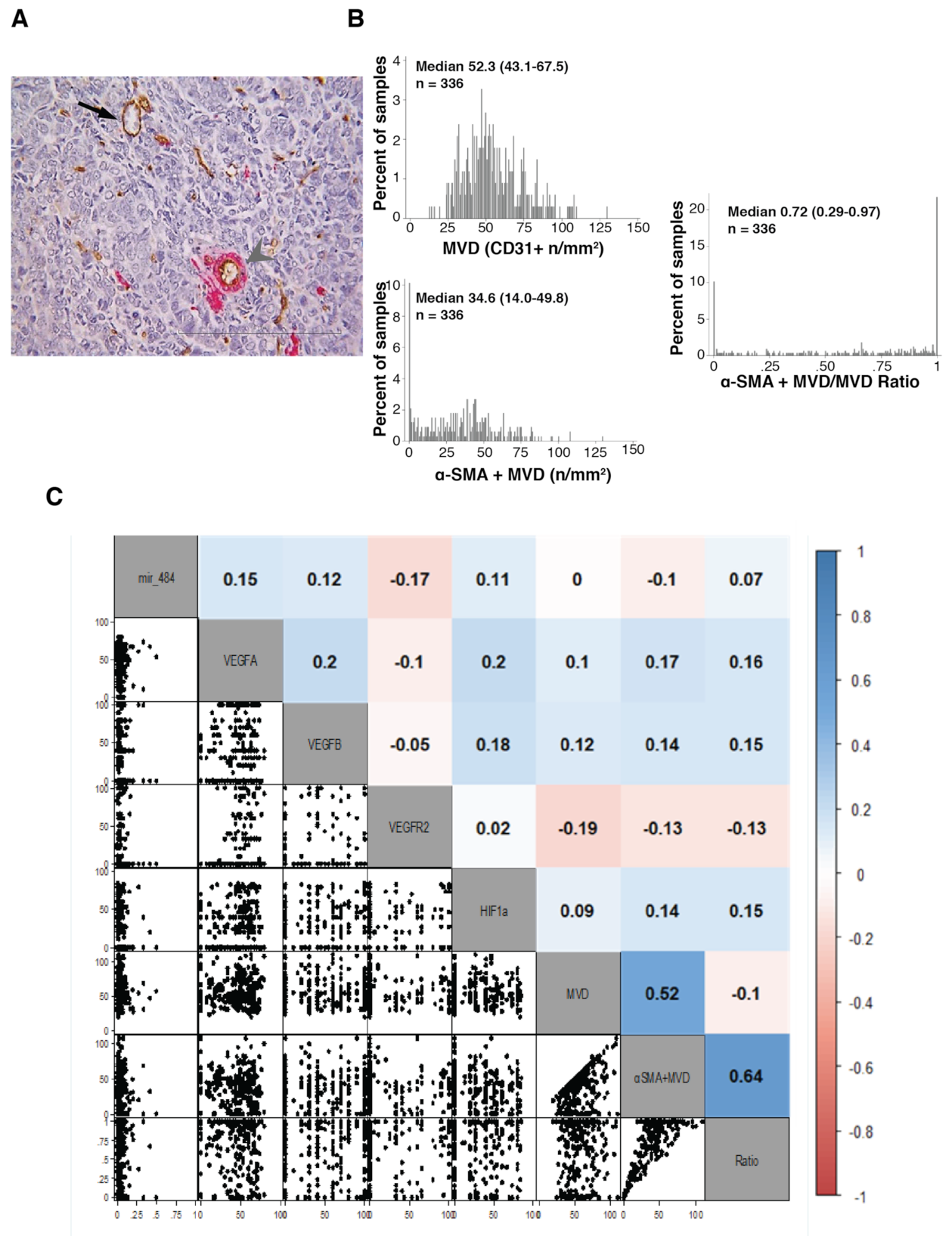 Cancers 13 05152 g002