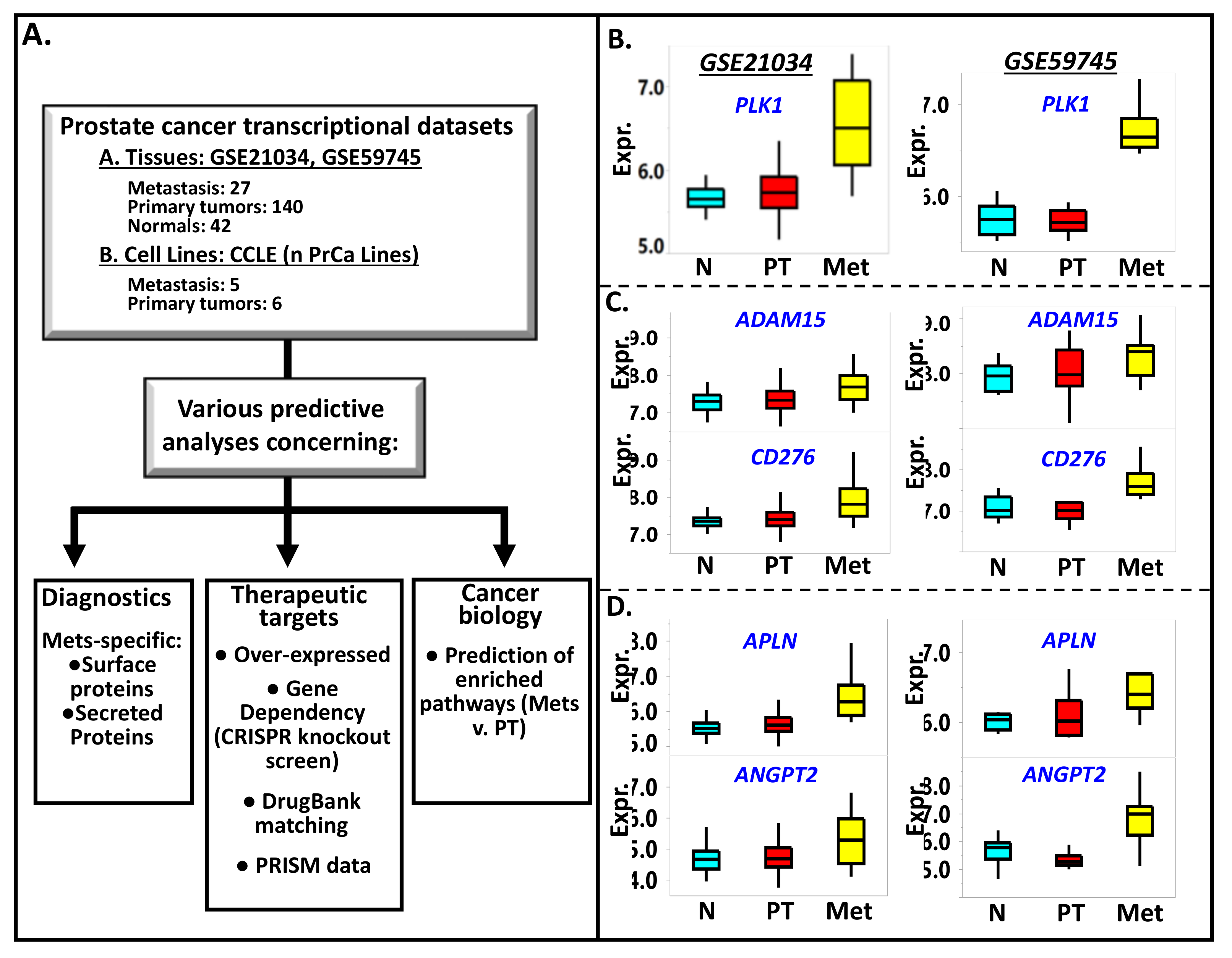 Cancers 13 05158 g001
