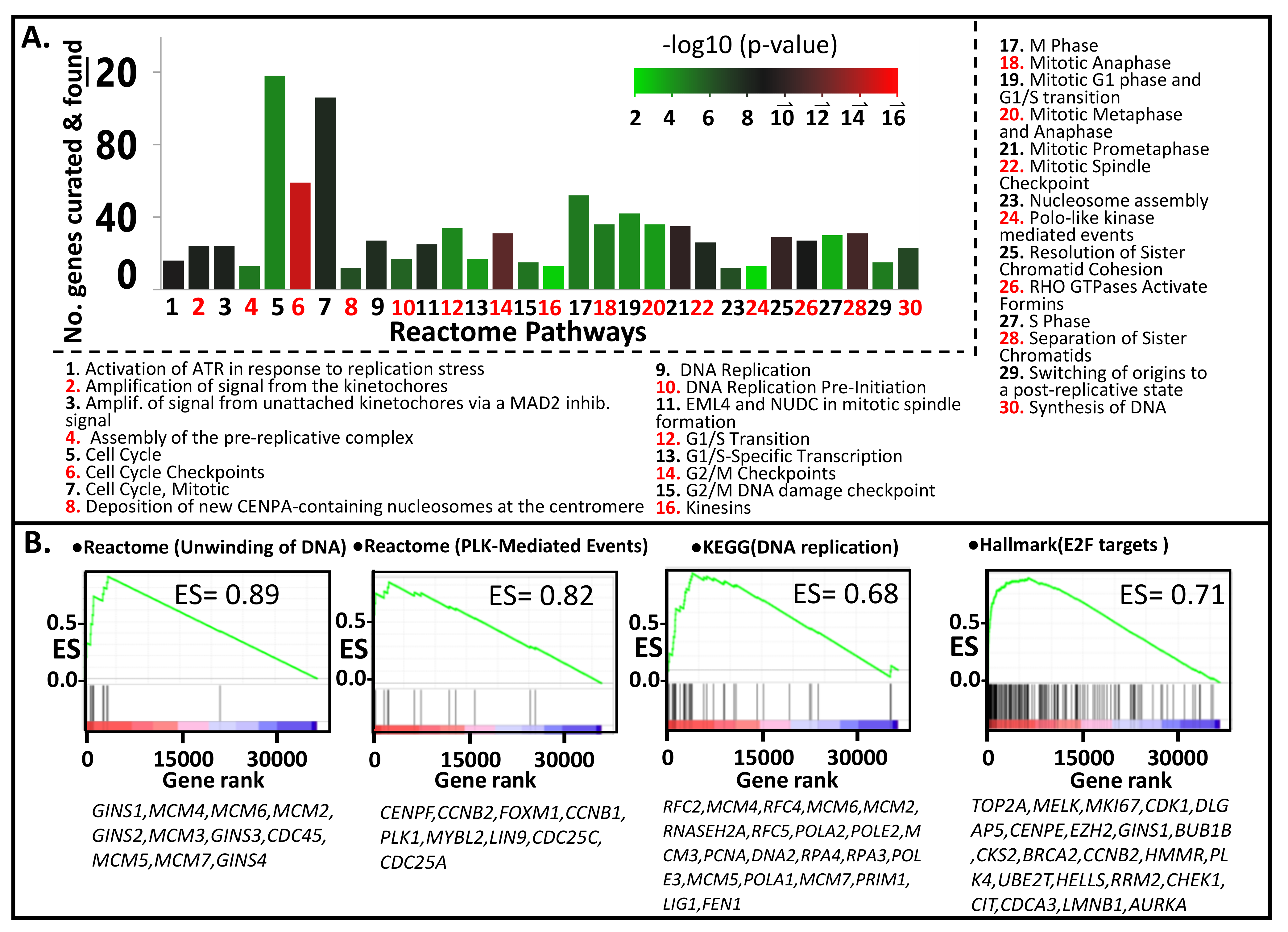 Cancers 13 05158 g002