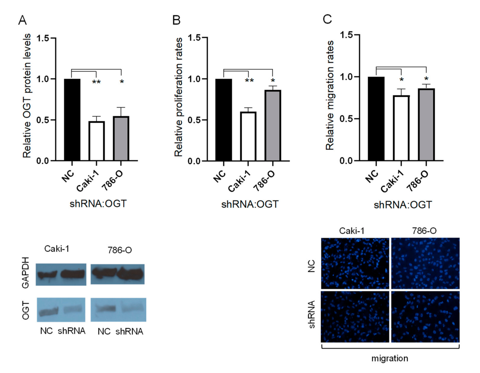 Cancers 13 05160 g003