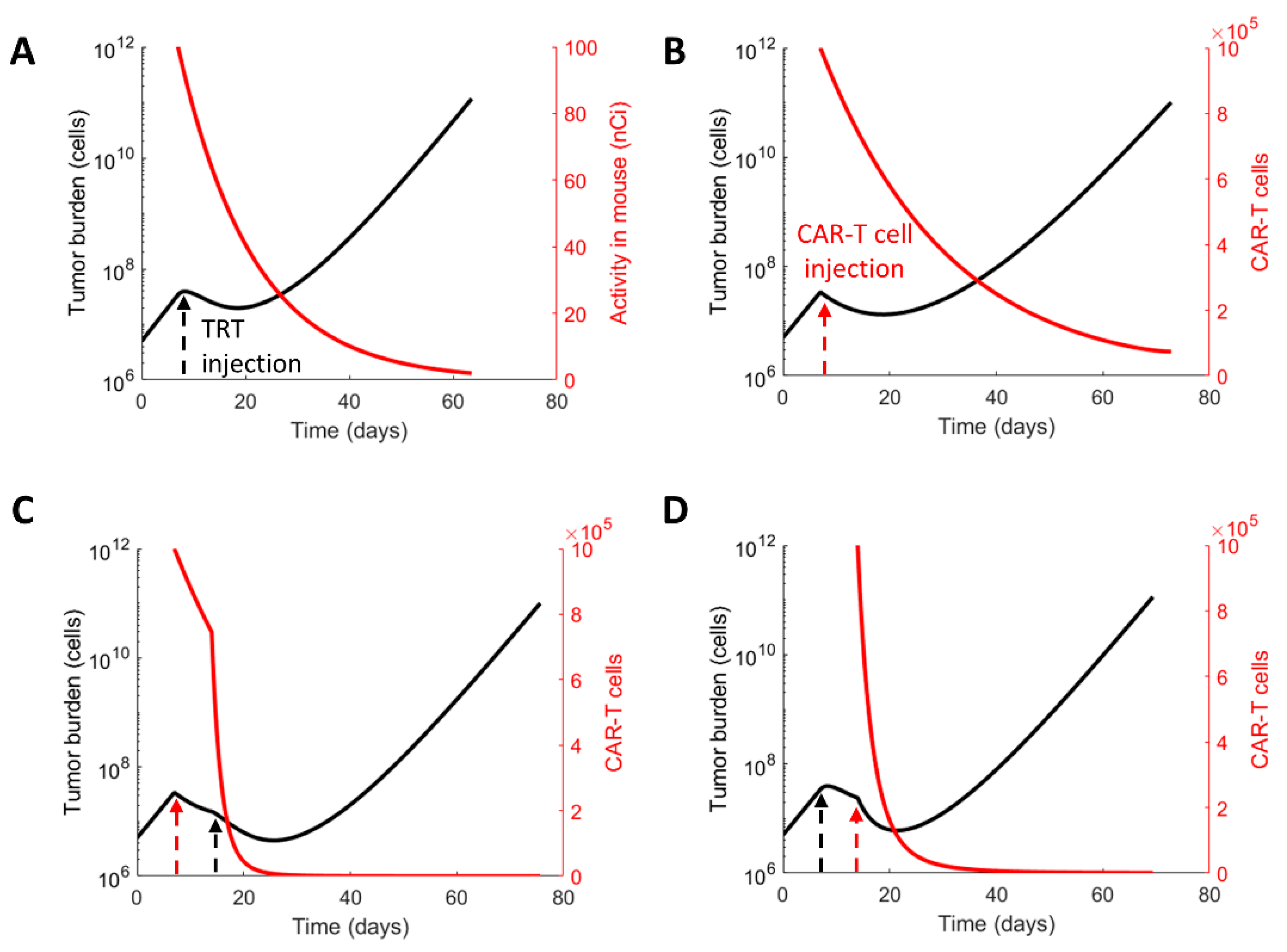 Cancers 13 05171 g003