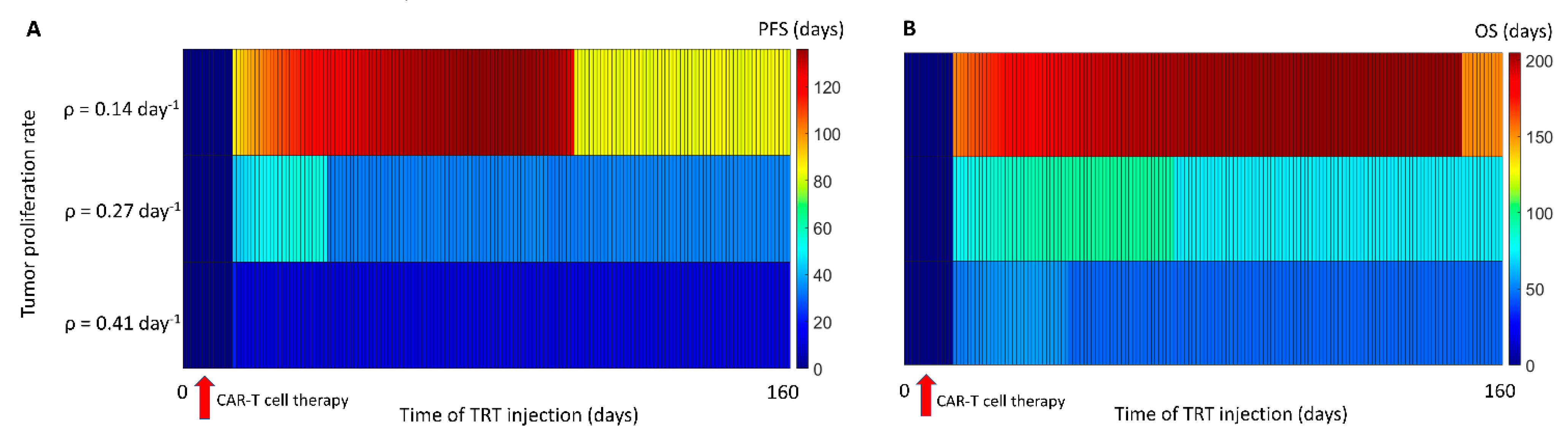 Cancers 13 05171 g007