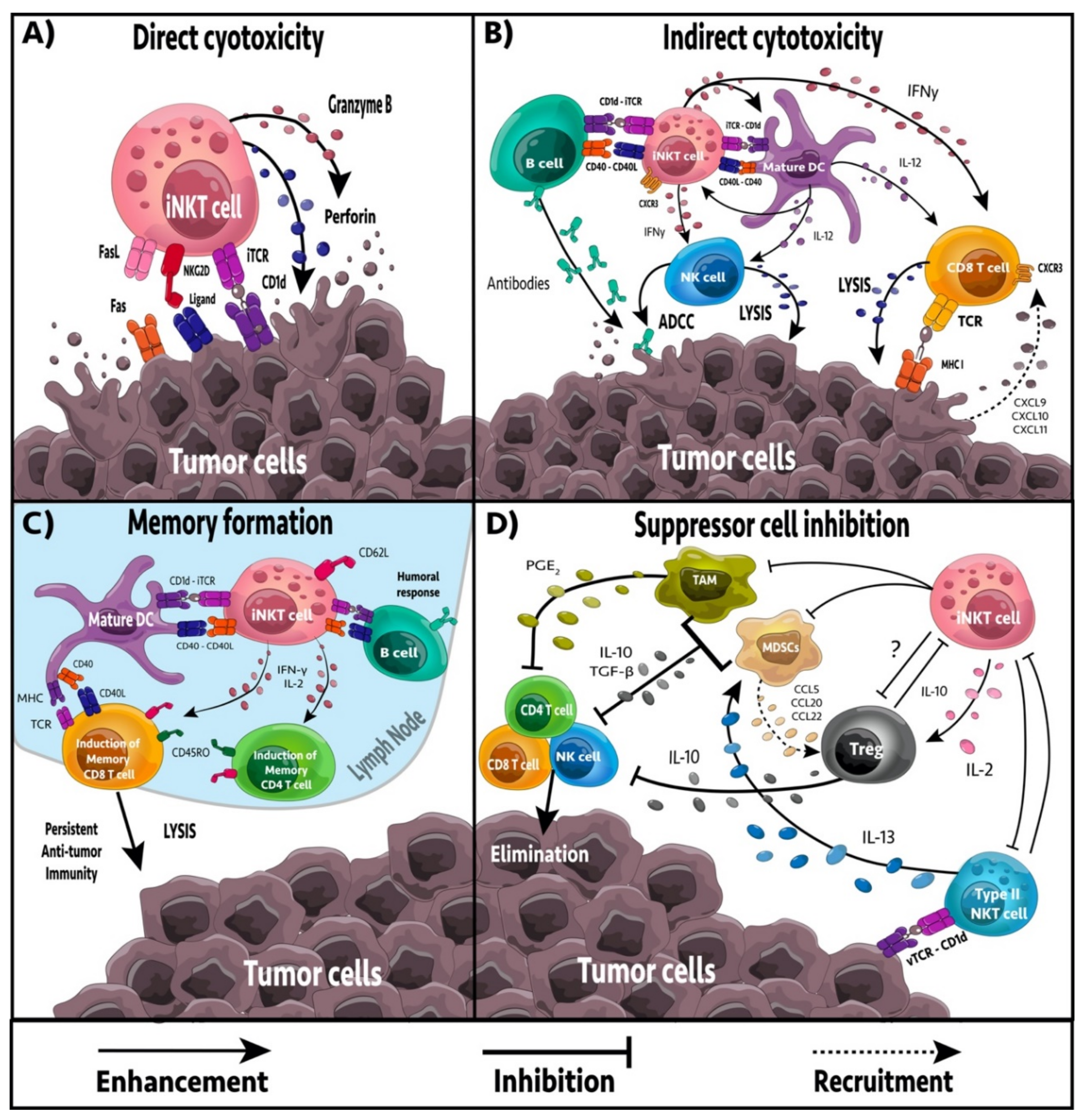Cancers 13 05174 g001