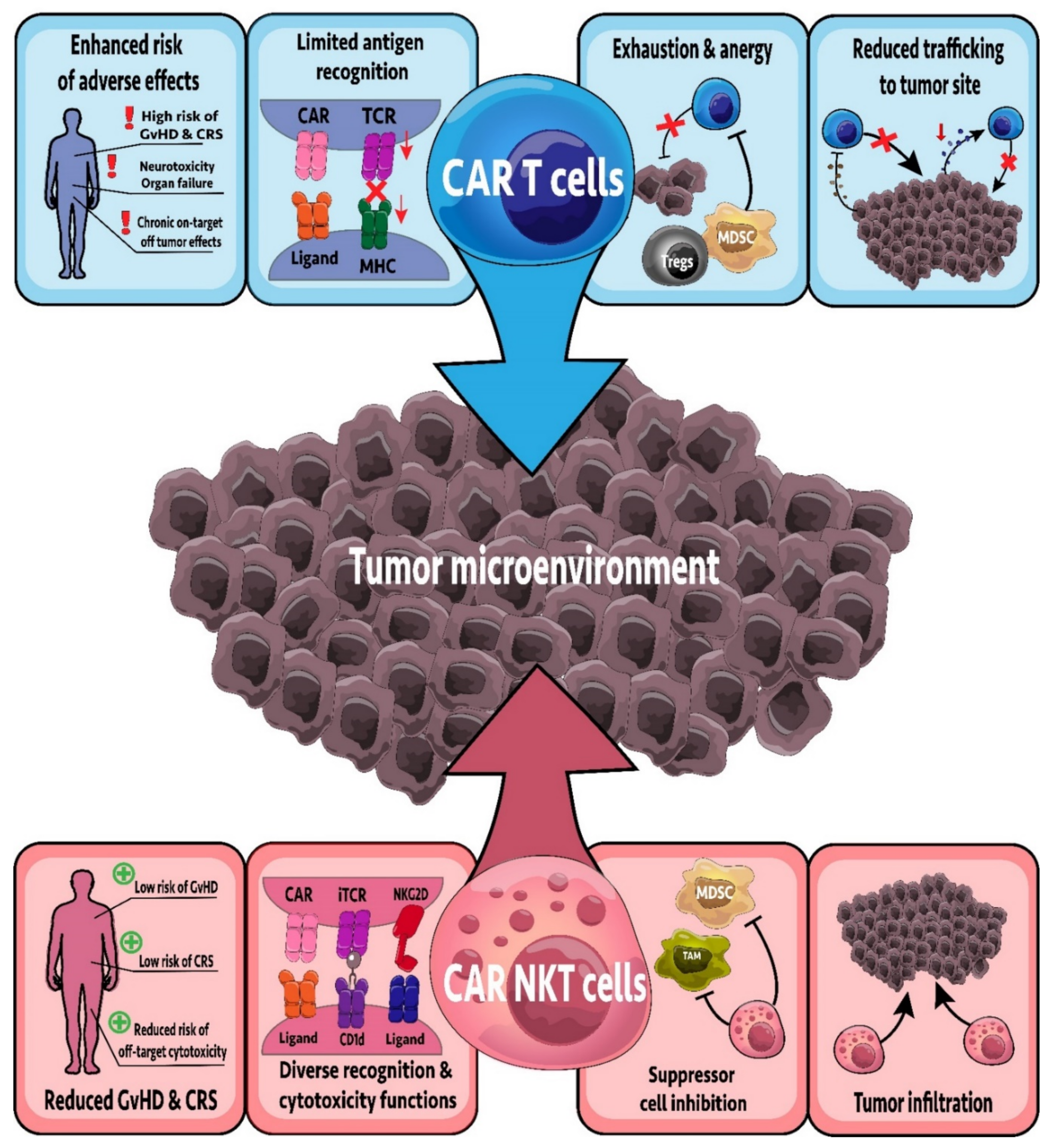 Cancers 13 05174 g002