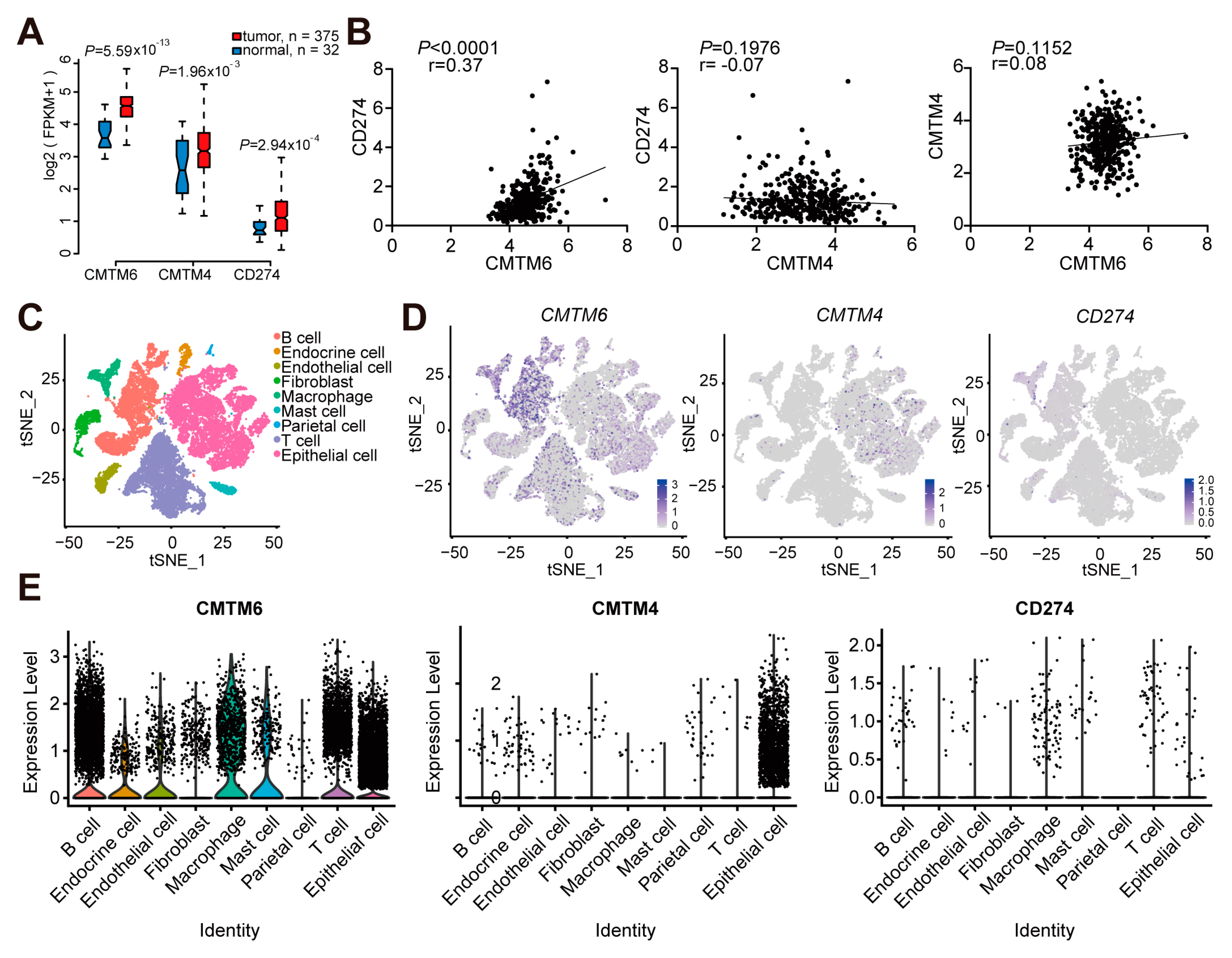 Cancers 13 05175 g001