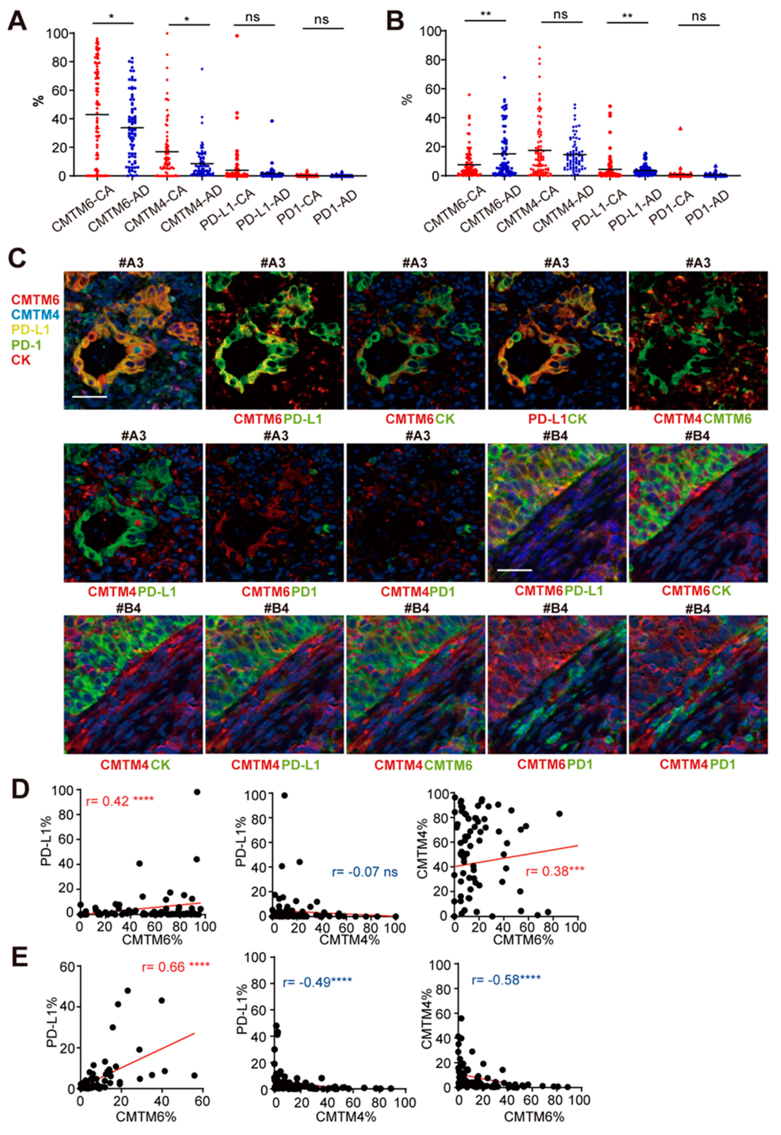 Cancers 13 05175 g002