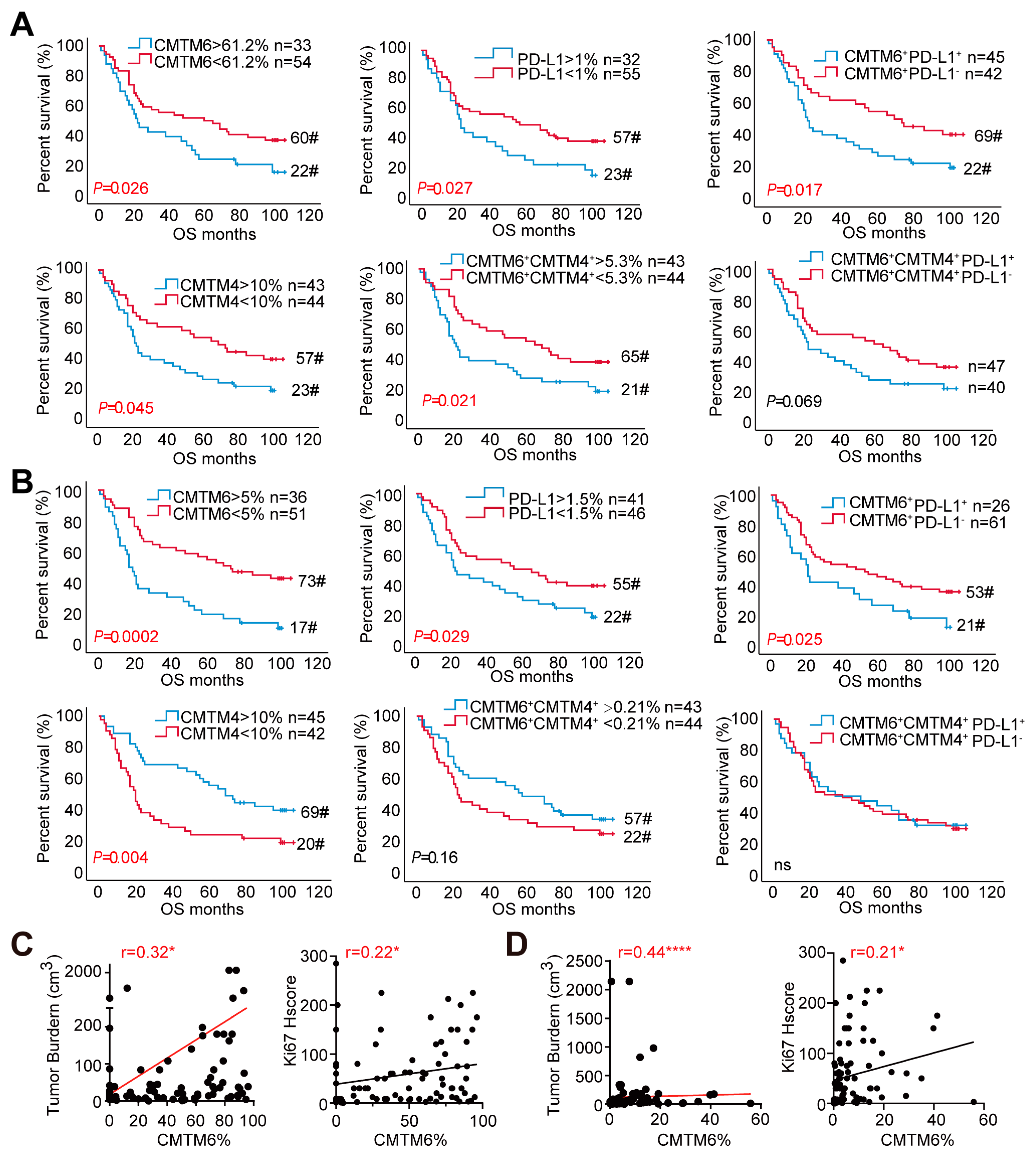 Cancers 13 05175 g003
