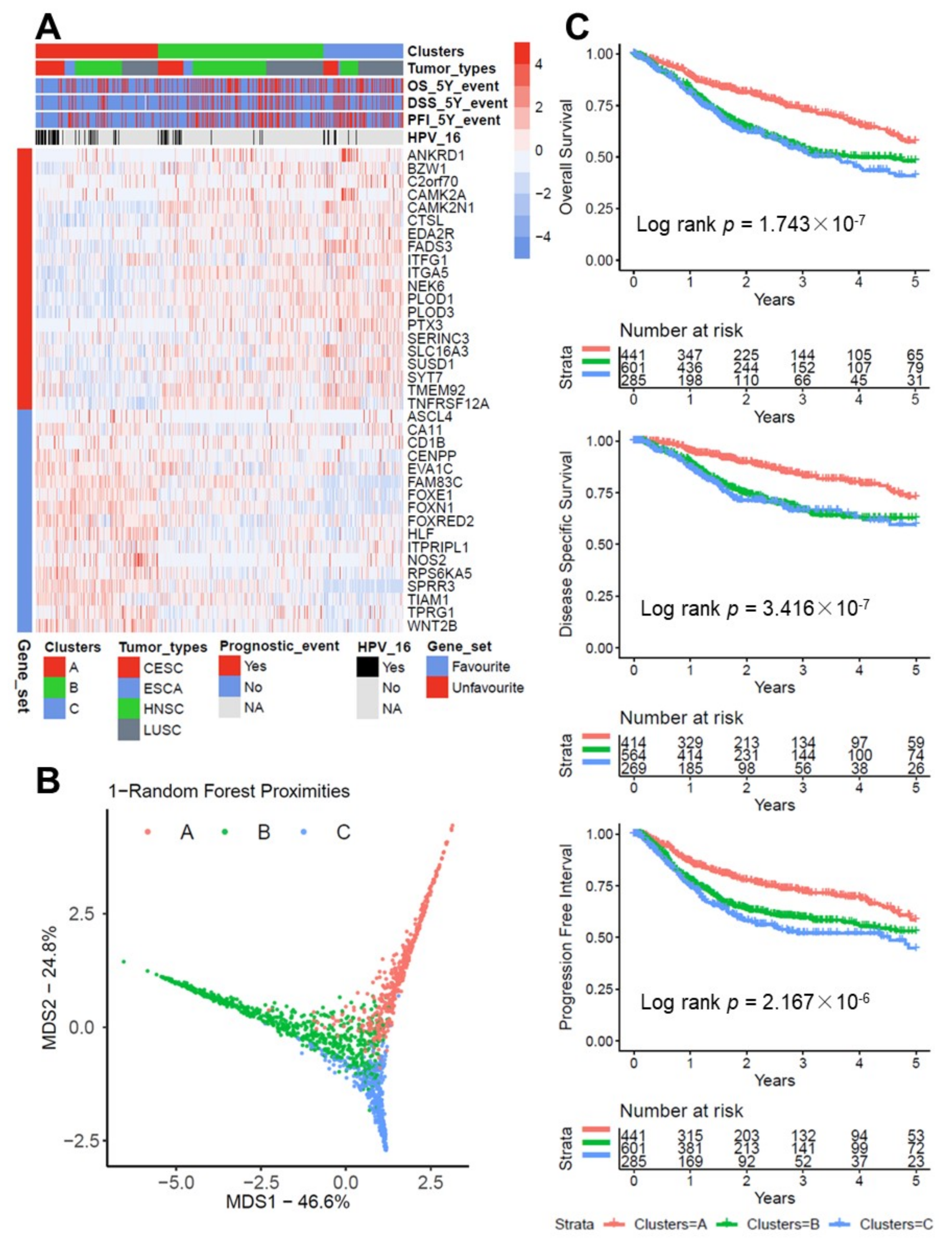 Cancers 13 05182 g001