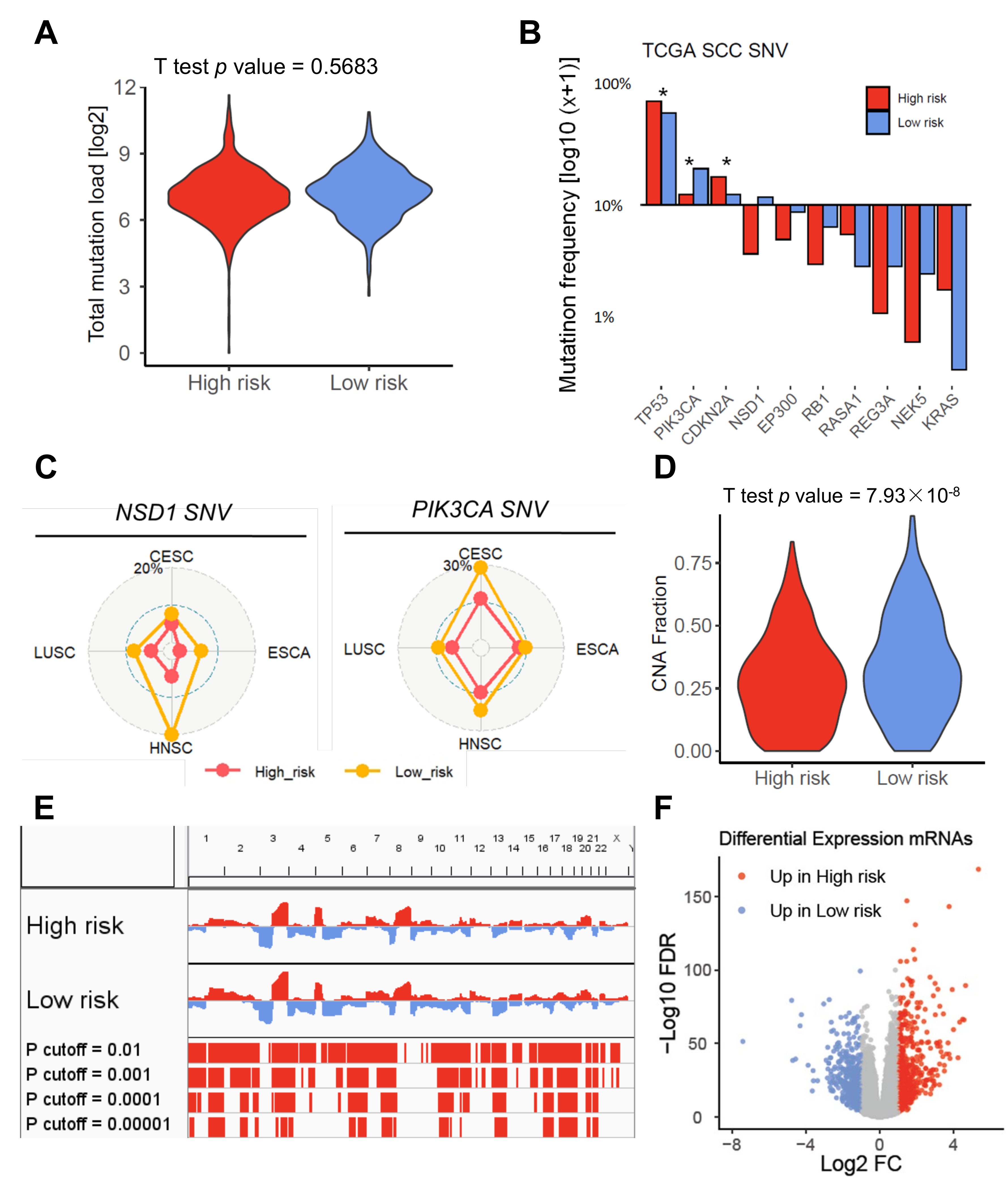 Cancers 13 05182 g003