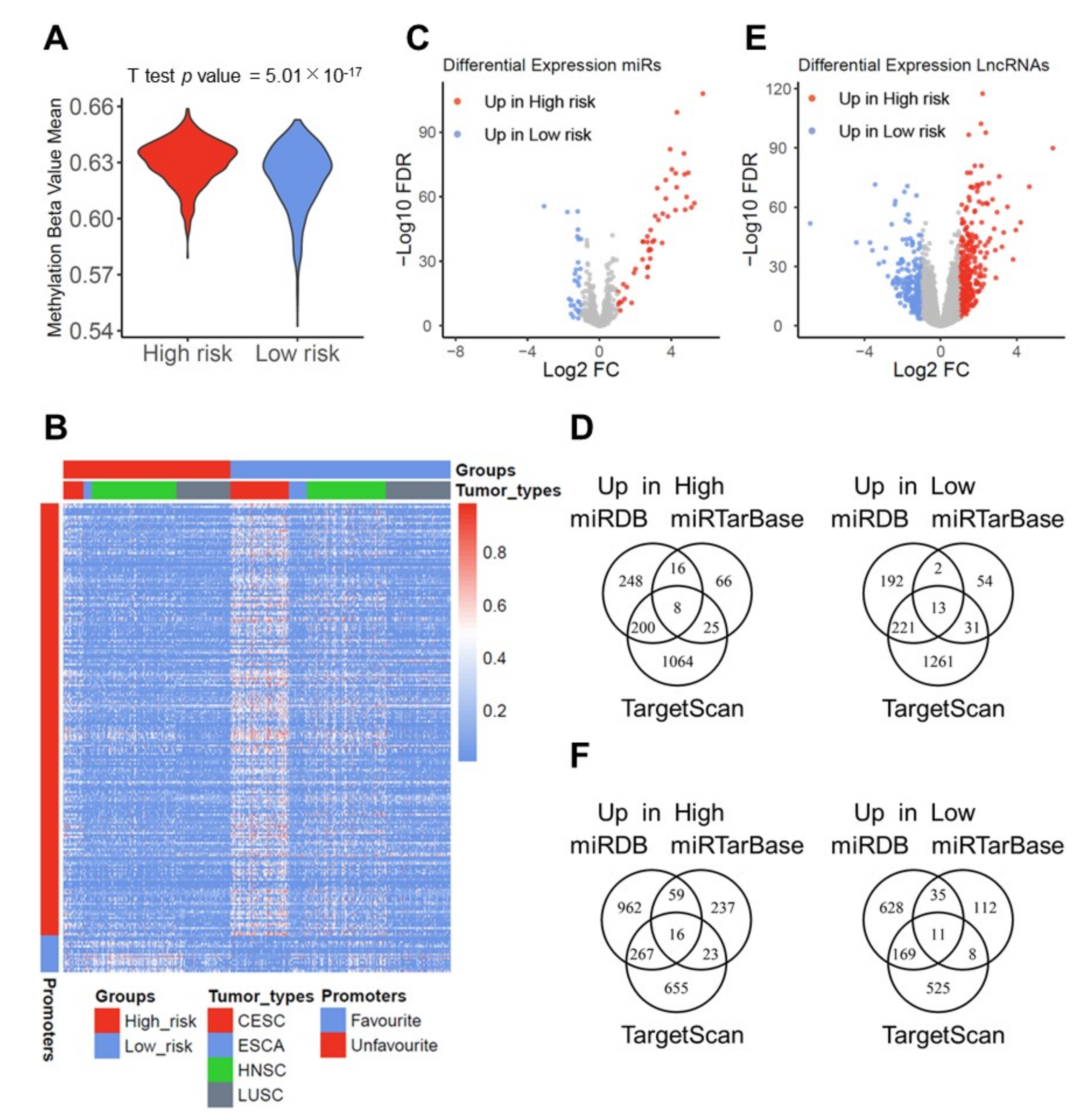 Cancers 13 05182 g004