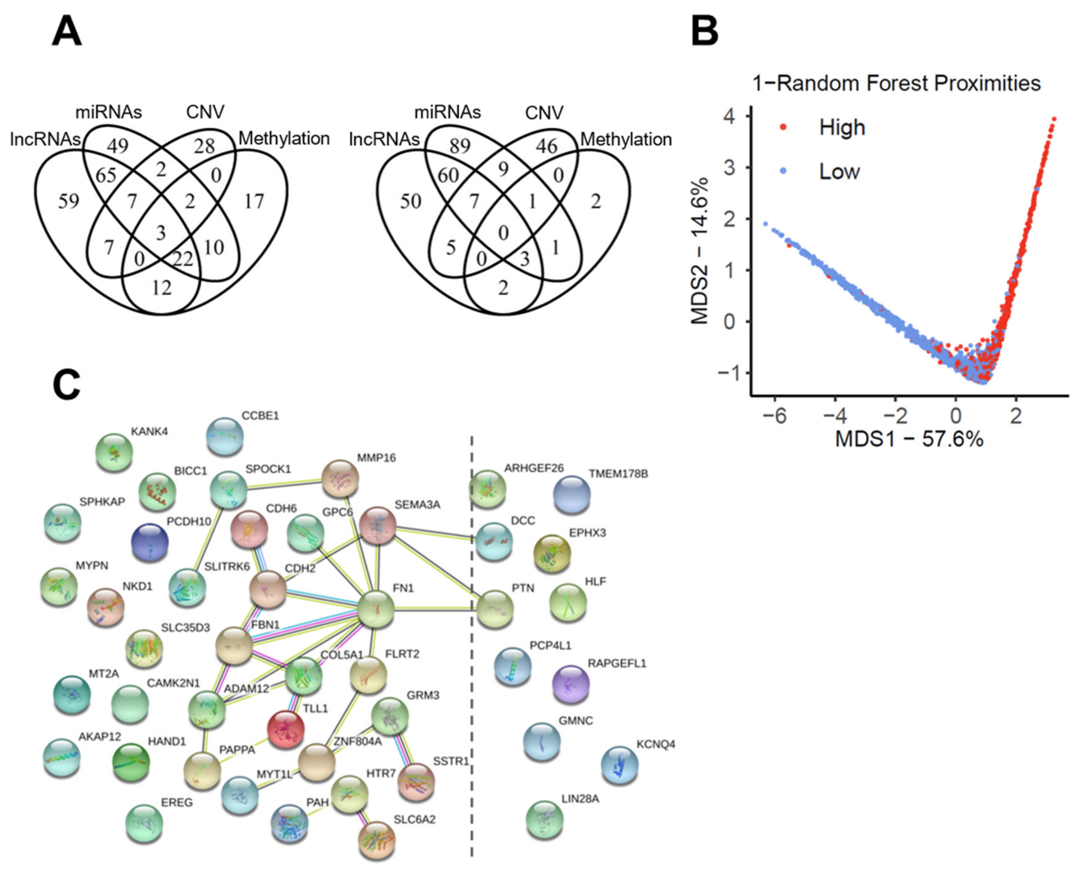 Cancers 13 05182 g005
