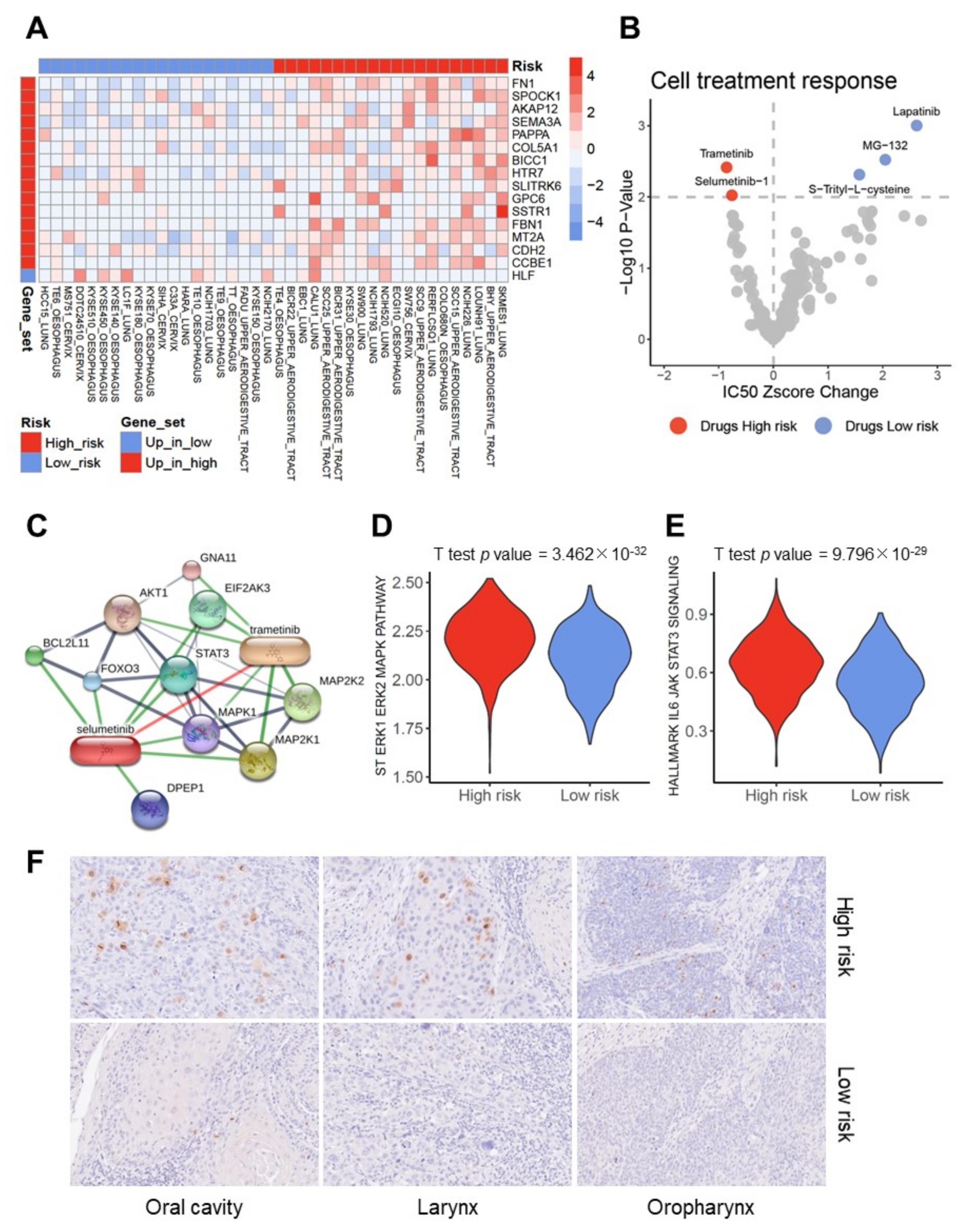Cancers 13 05182 g006