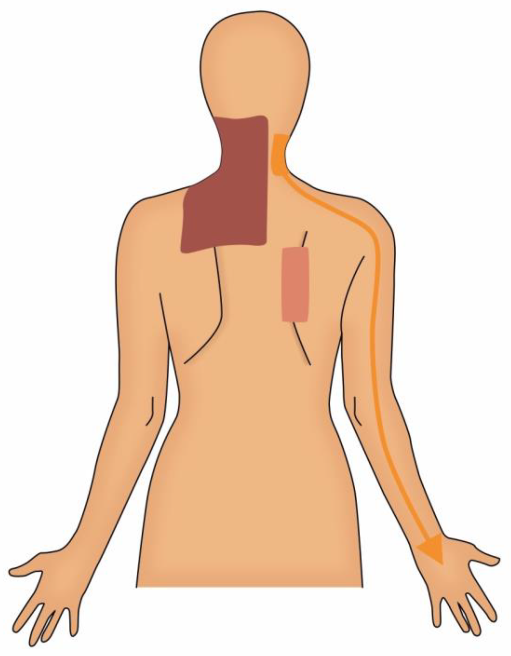 Cancers 13 05191 g002