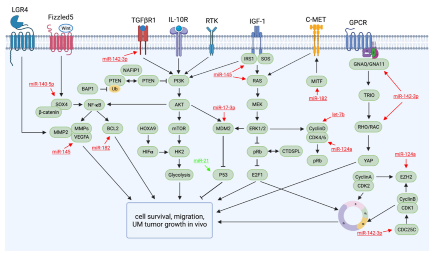Cancers 13 05192 g001
