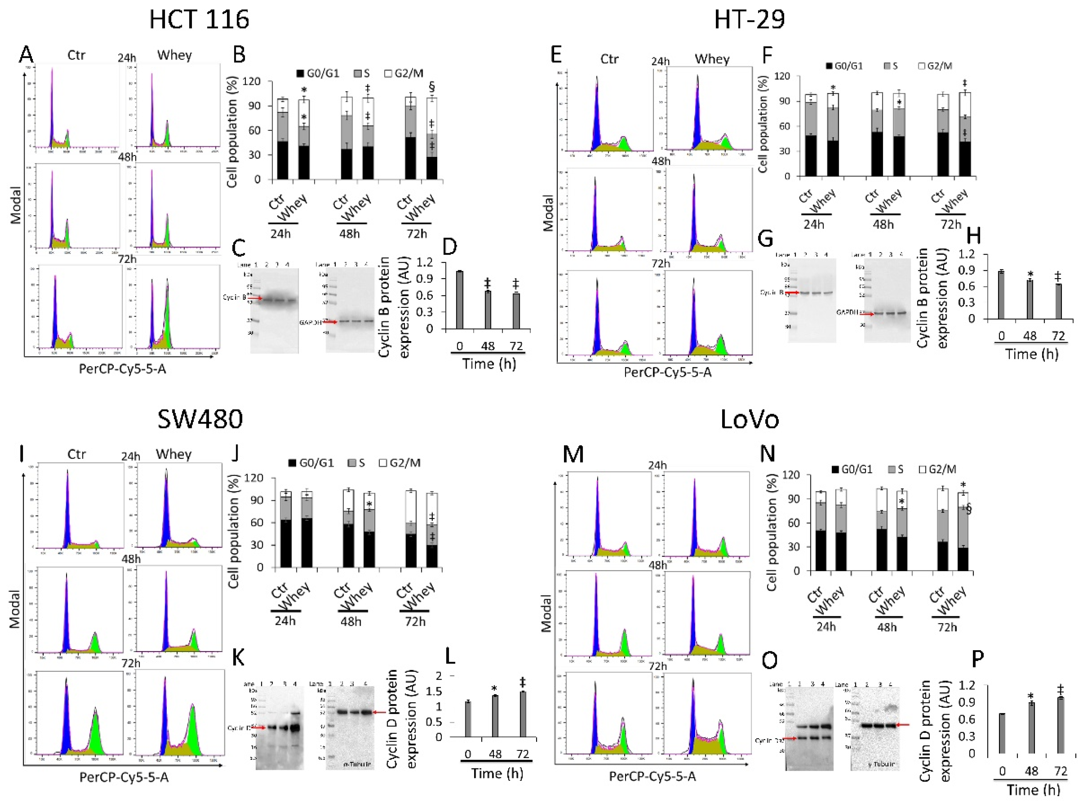 Cancers 13 05196 g002