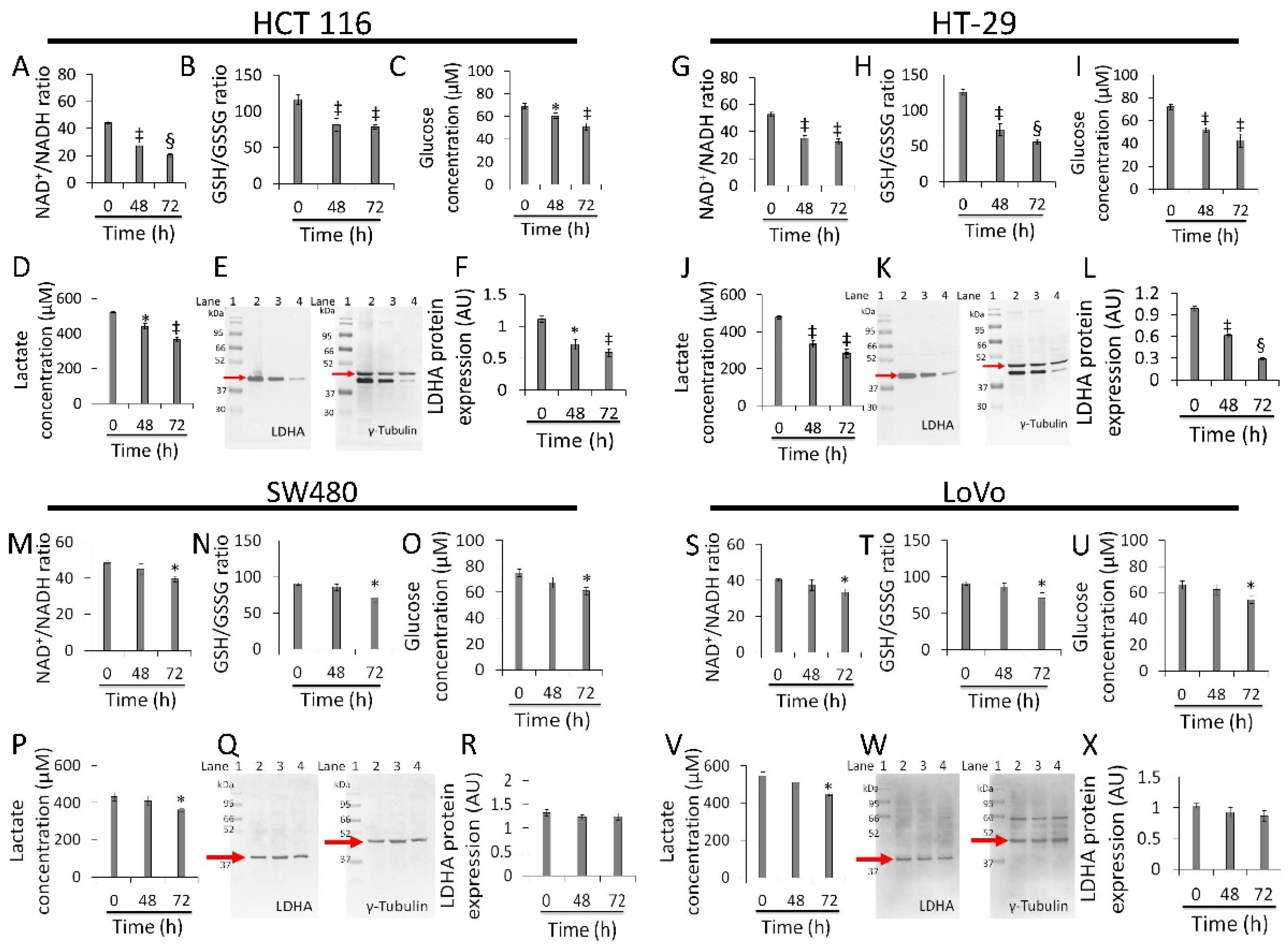 Cancers 13 05196 g005