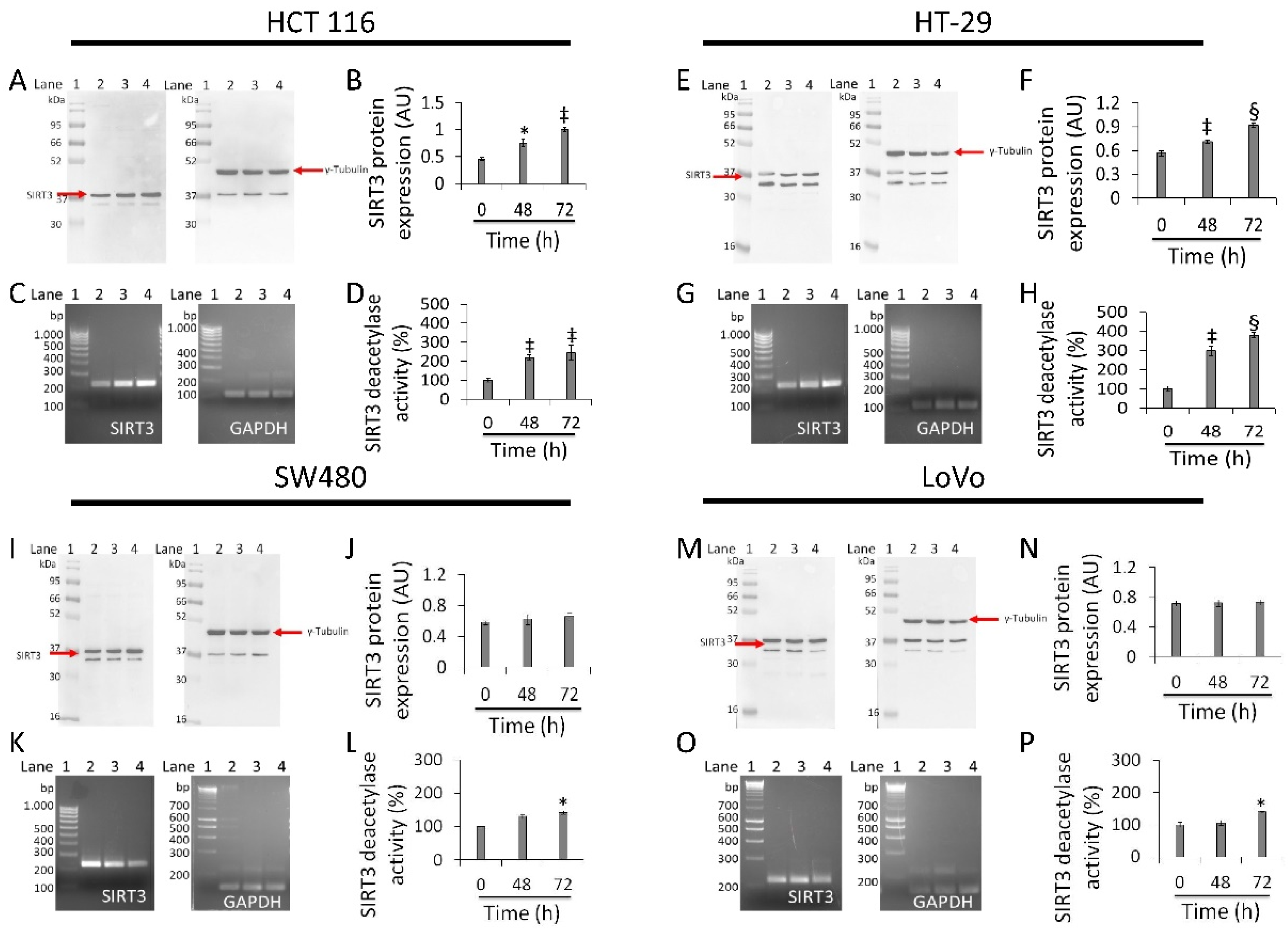 Cancers 13 05196 g006