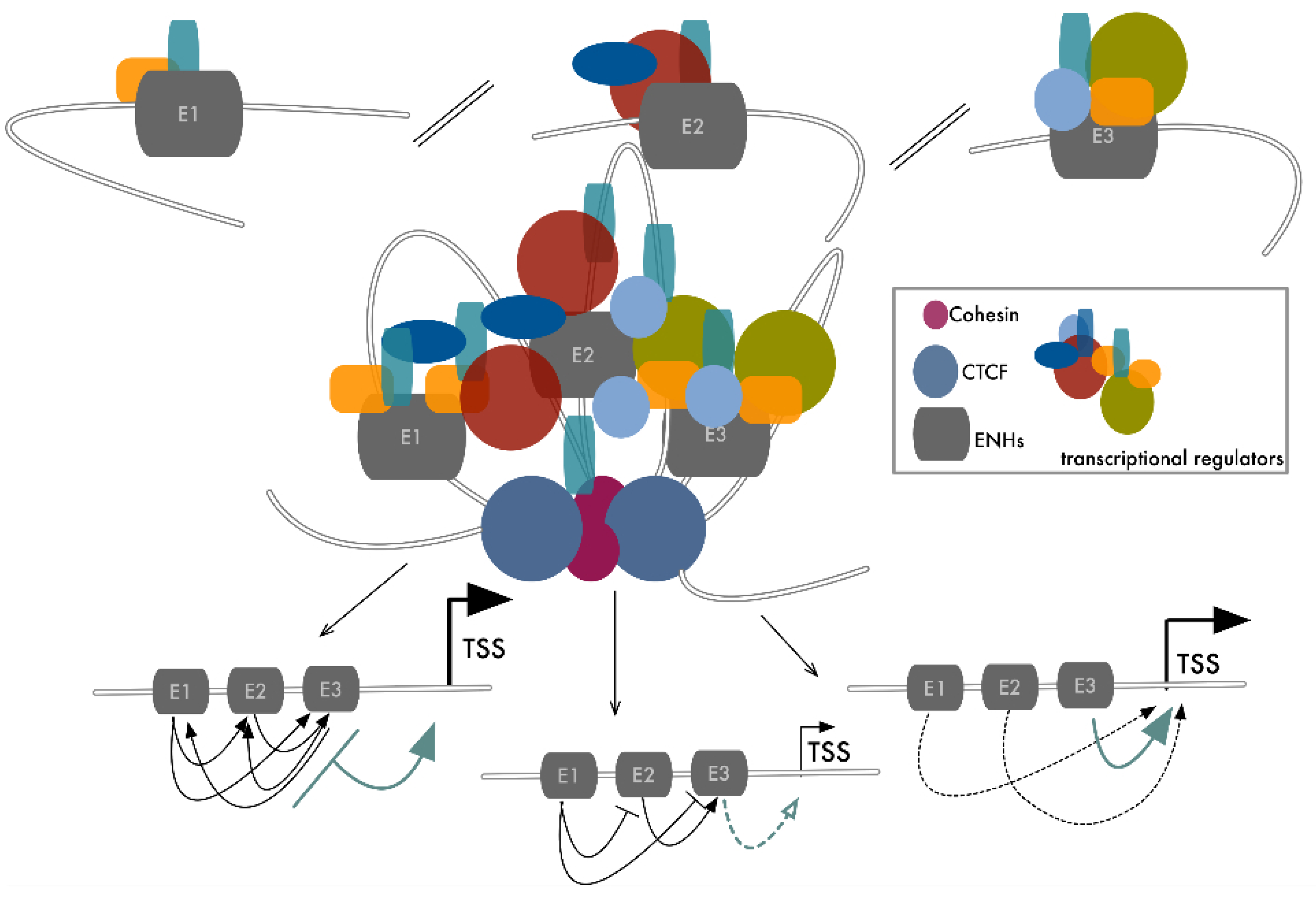Cancers 13 05201 g002