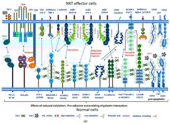 Cancers 13 05203 g005a Cancers 13 05203 g005a