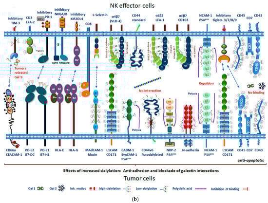 Cancers 13 05203 g005b