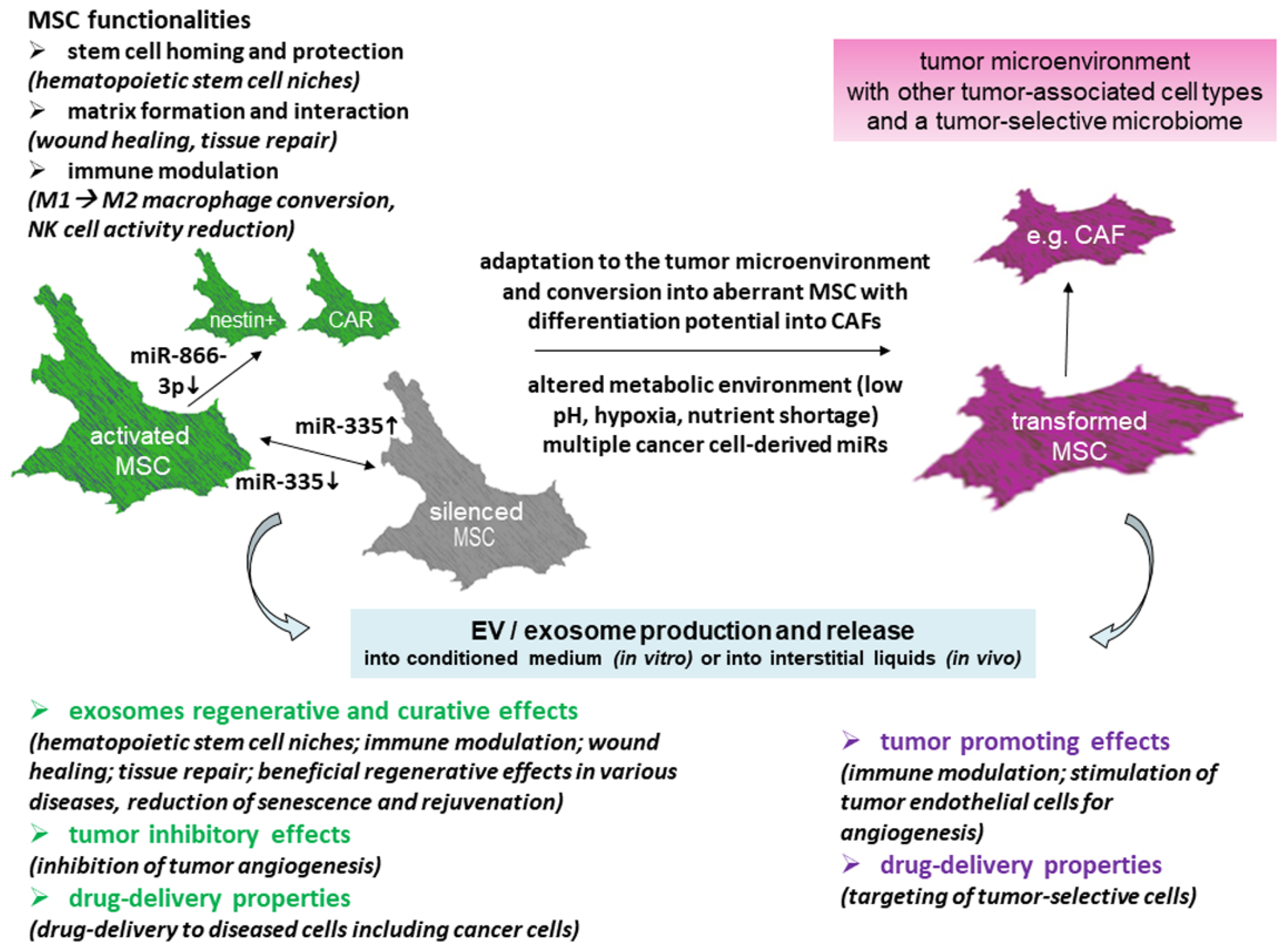 Cancers 13 05212 g002