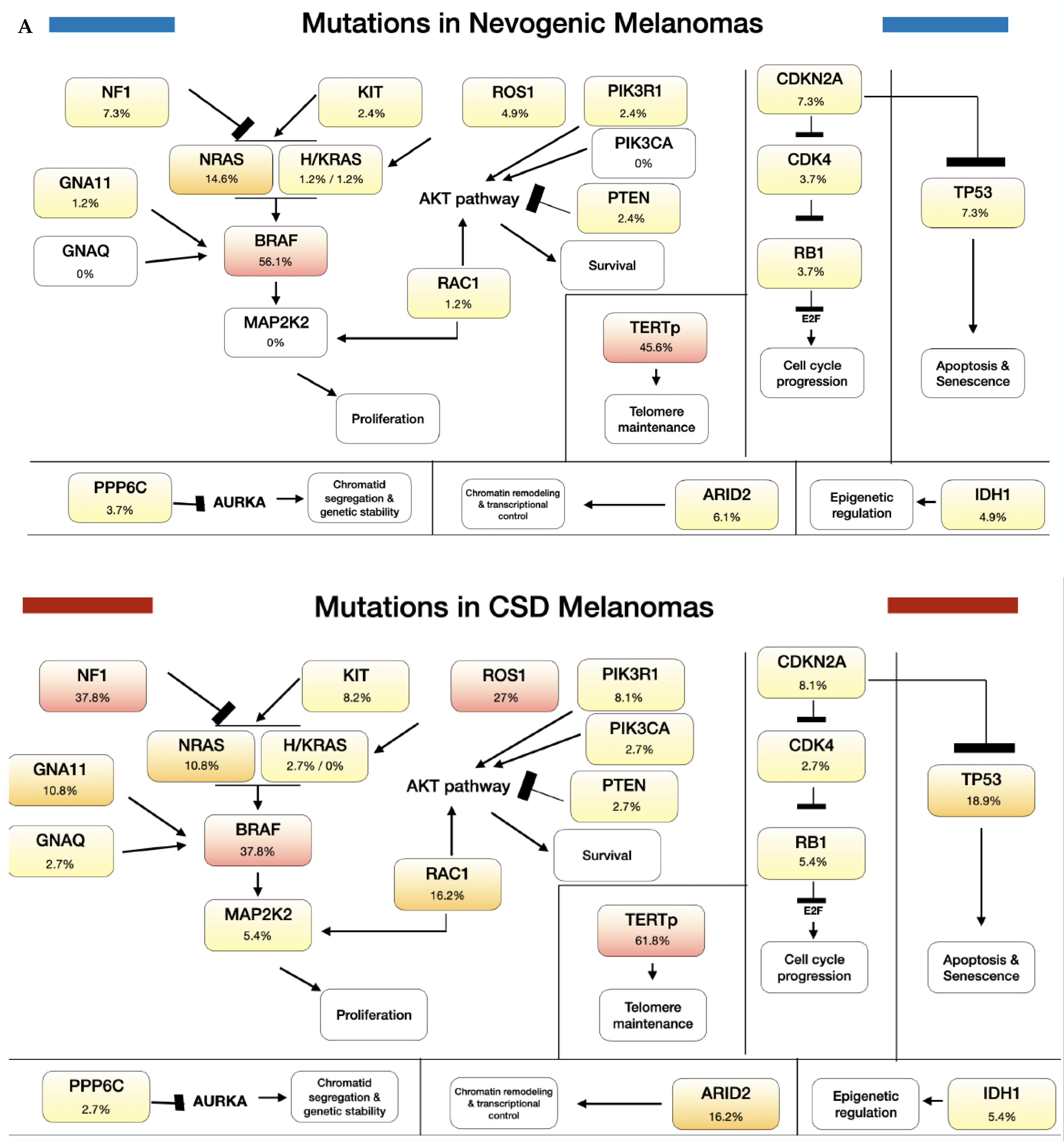 Cancers 13 05219 g001a