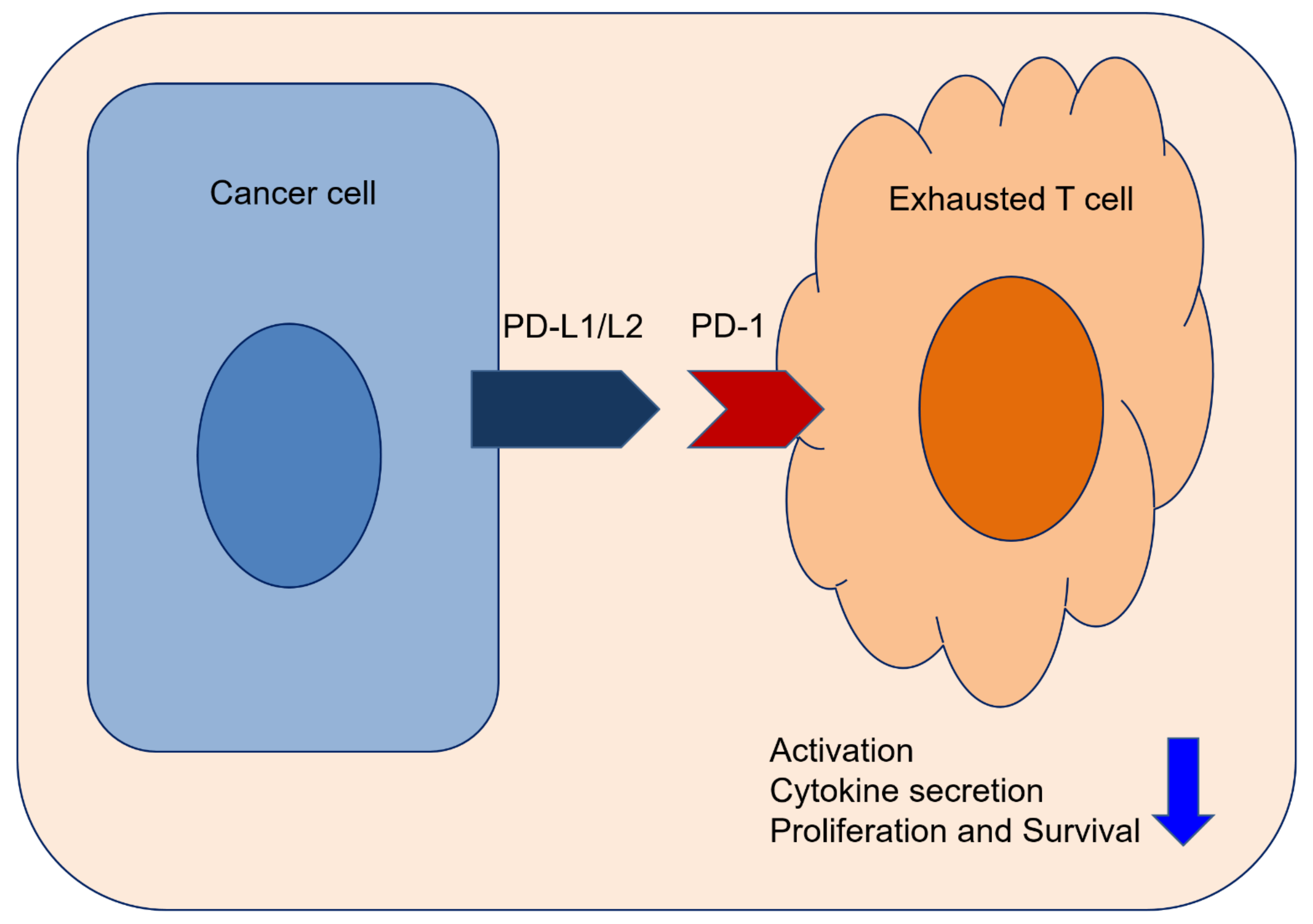 Cancers 13 05225 g002