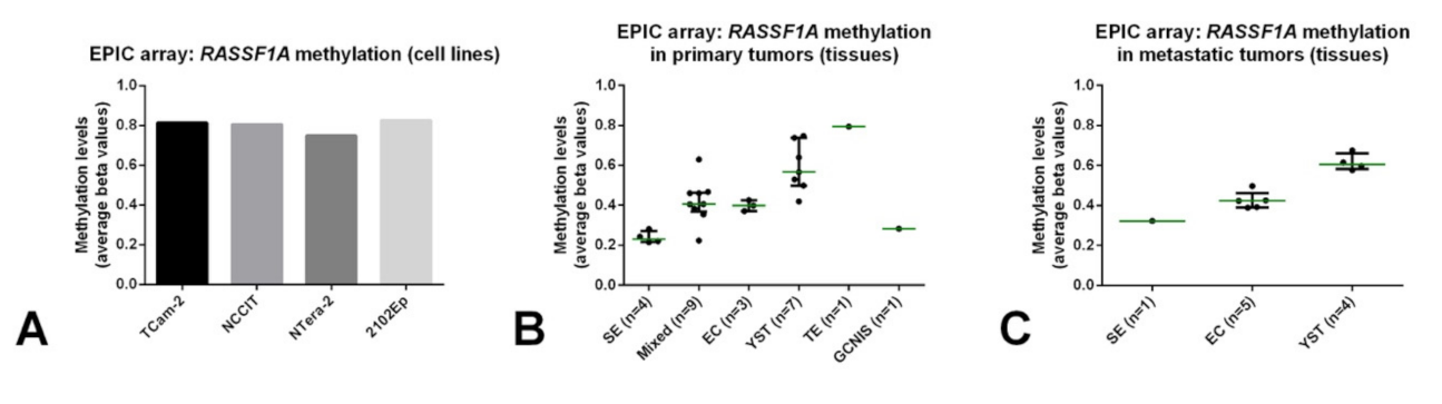 Cancers 13 05228 g005