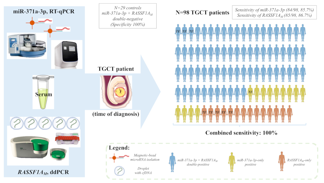 Cancers 13 05228 g006