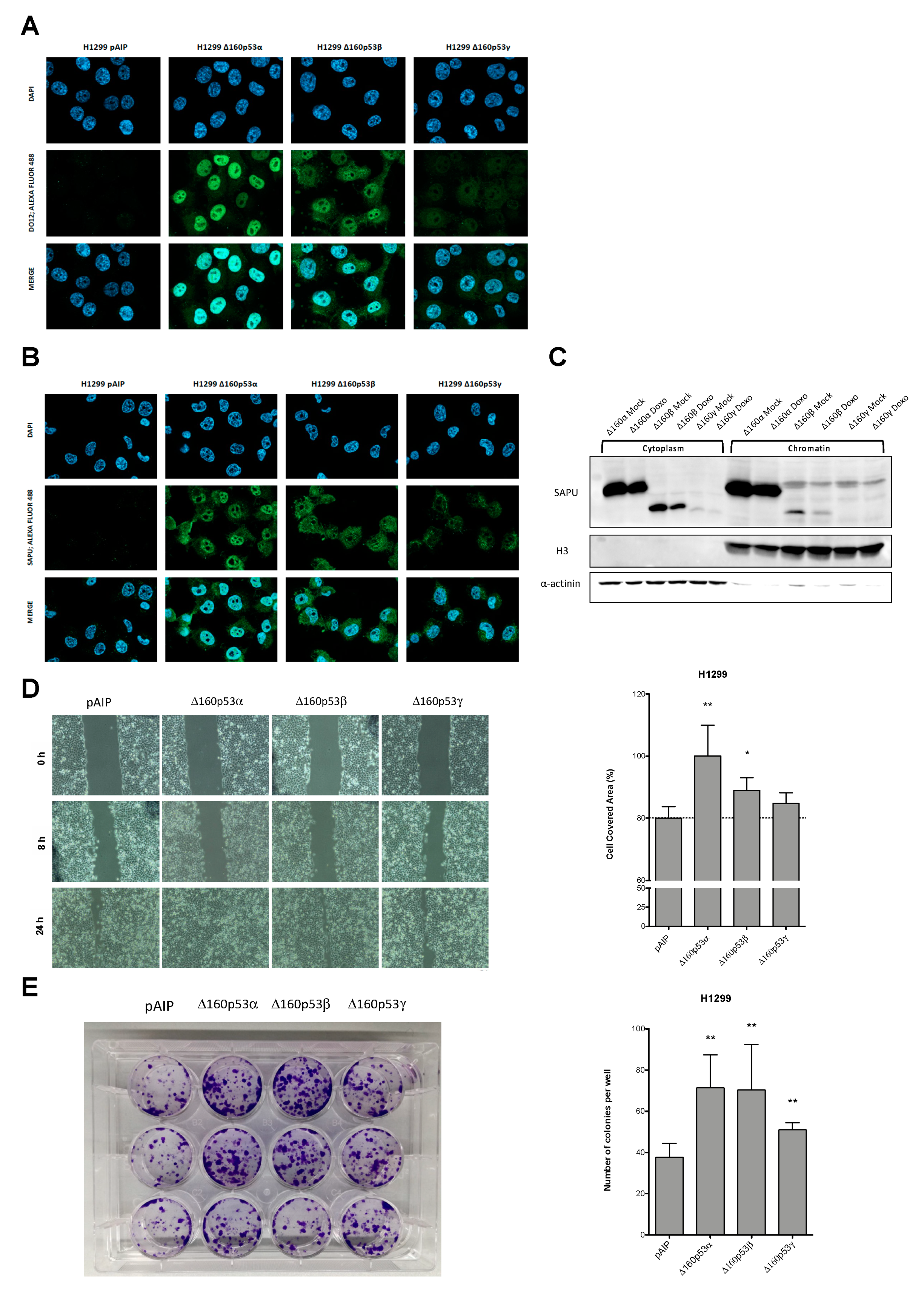 Cancers 13 05231 g004