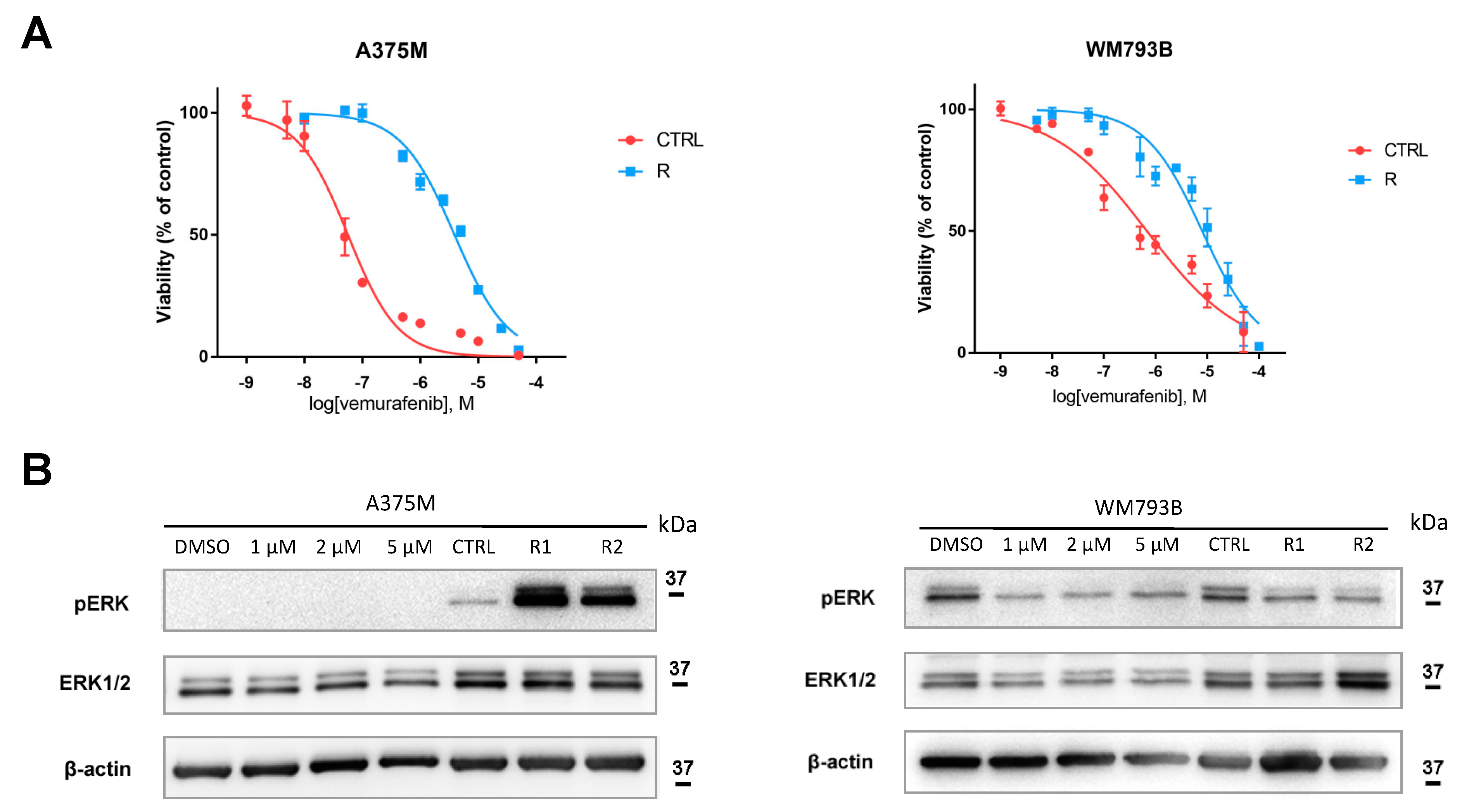 Cancers 13 05231 g005