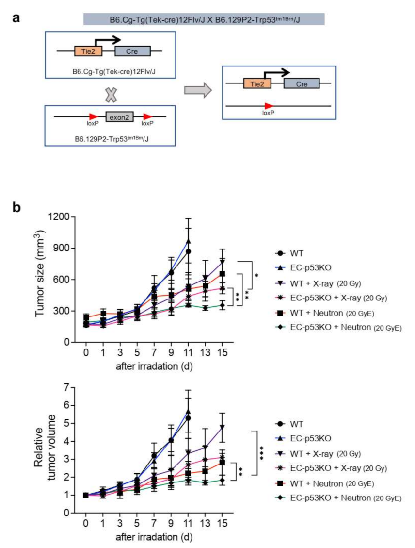 Cancers 13 05232 g001