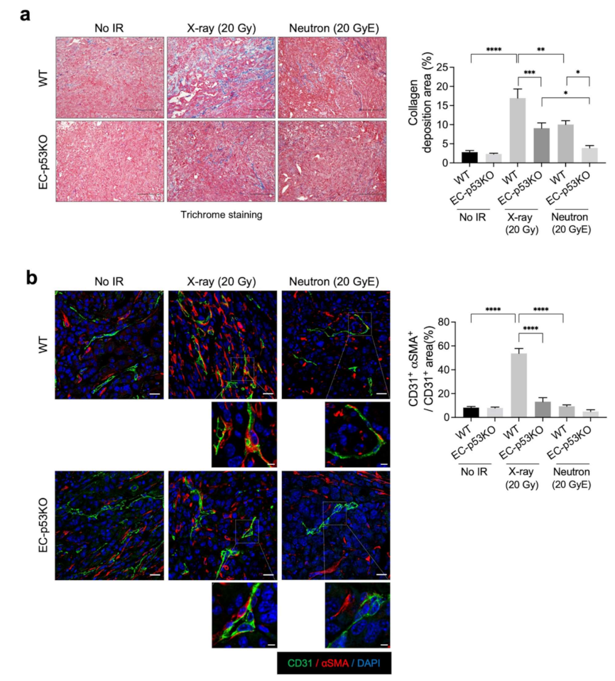 Cancers 13 05232 g002