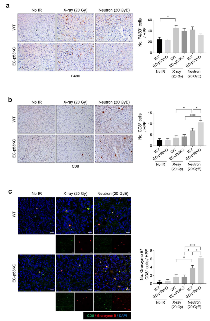 Cancers 13 05232 g003