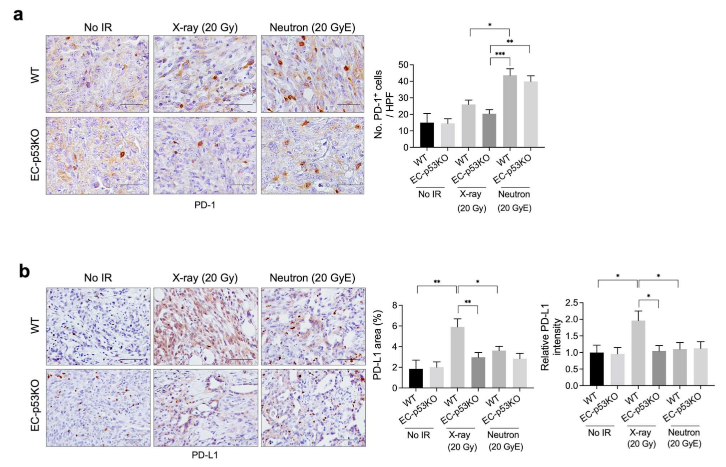 Cancers 13 05232 g004